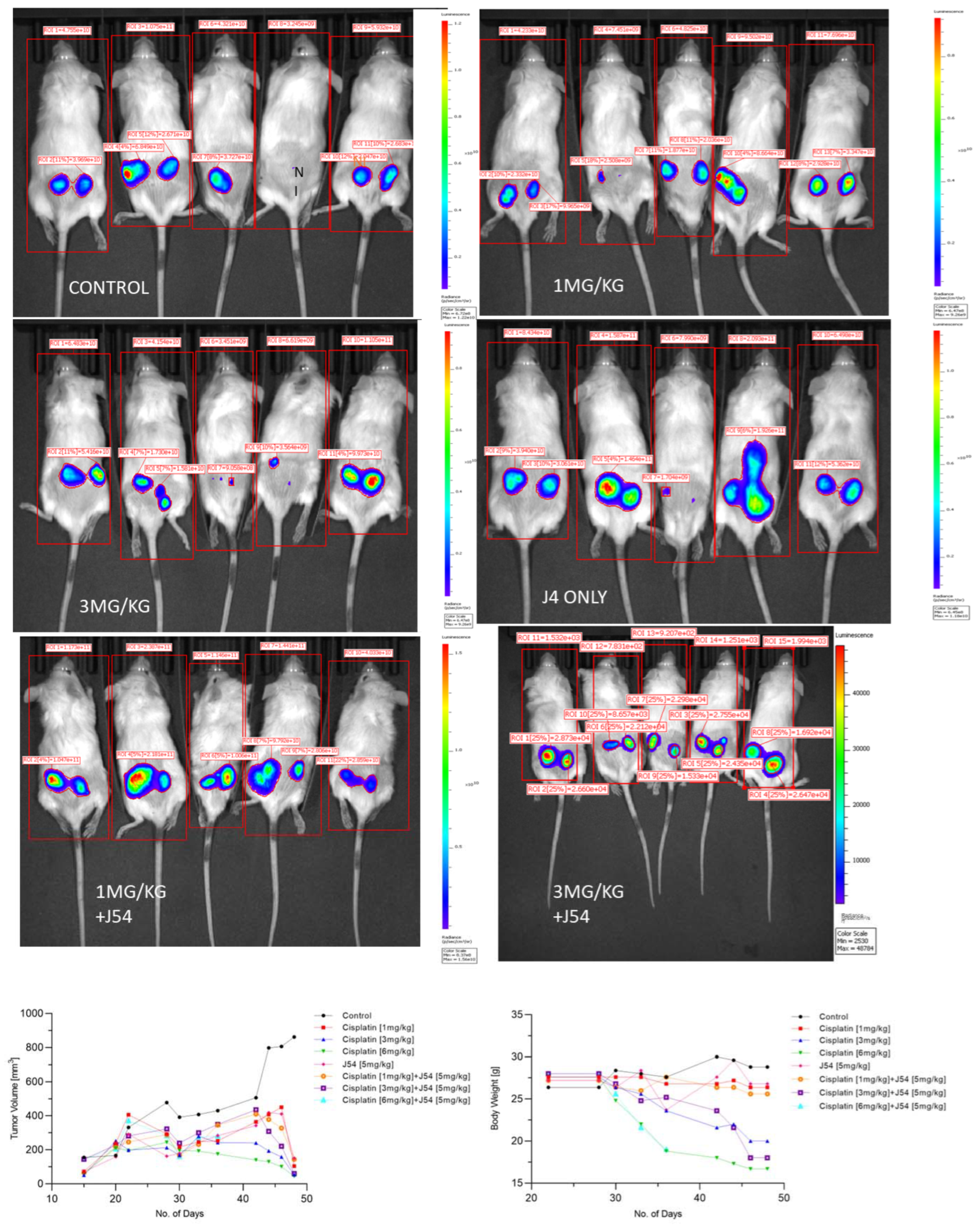 Biomedicines 11 02987 g003