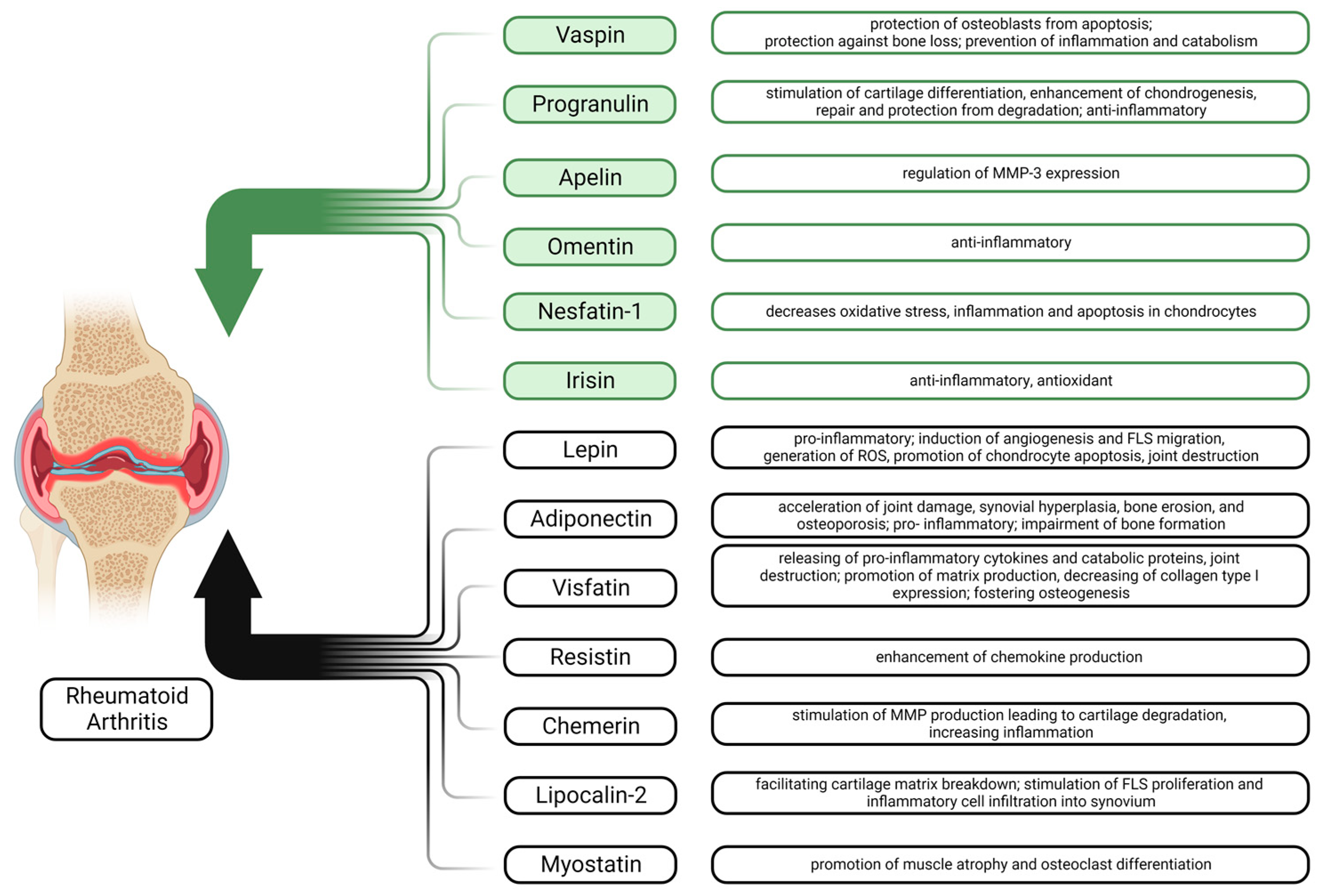Biomedicines 11 02998 g001