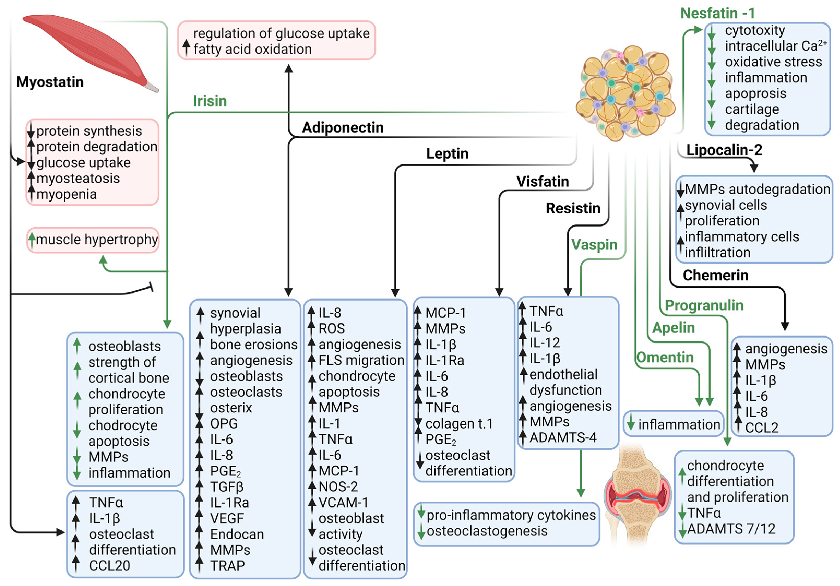 Biomedicines 11 02998 g003