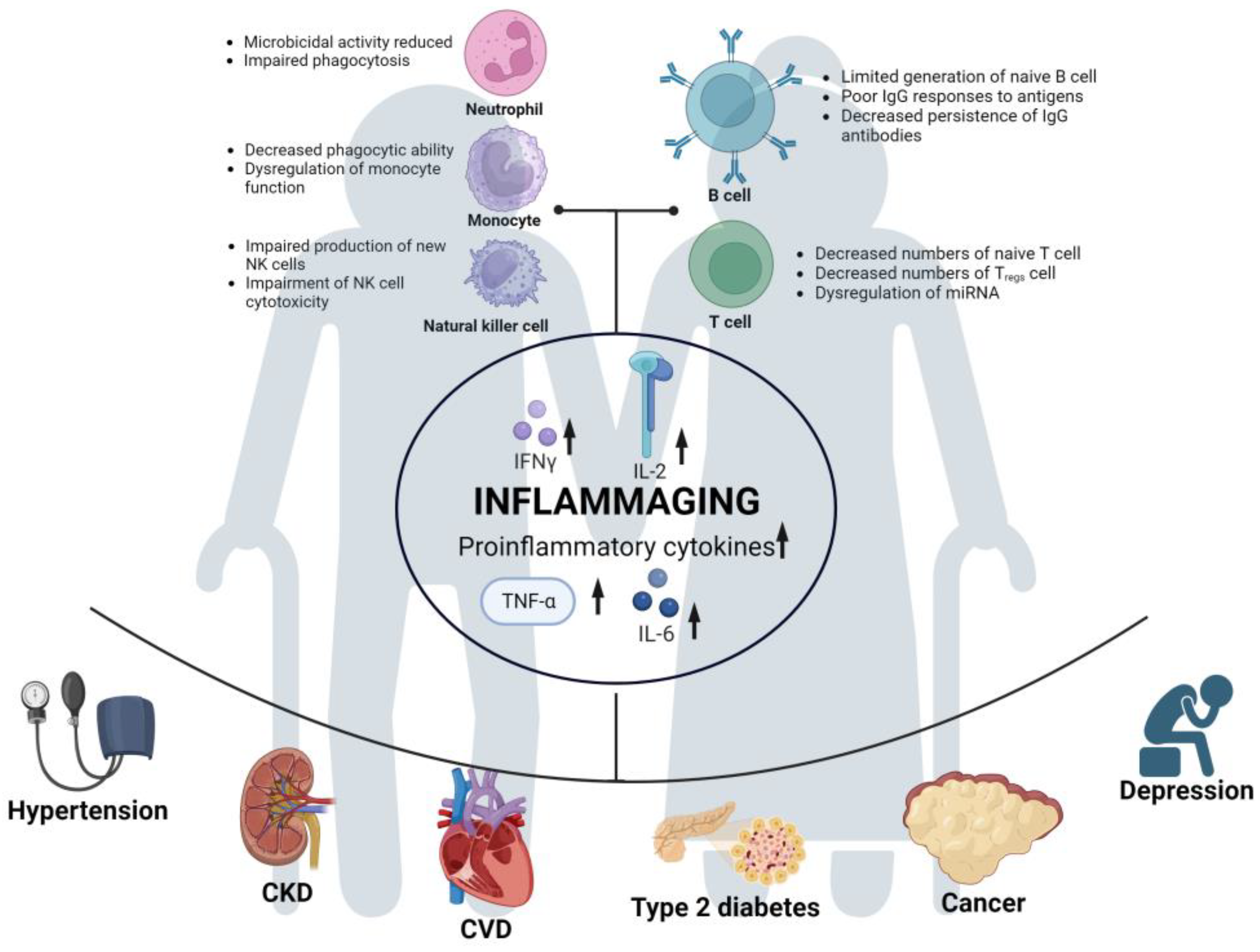 Biomedicines 11 03002 g002