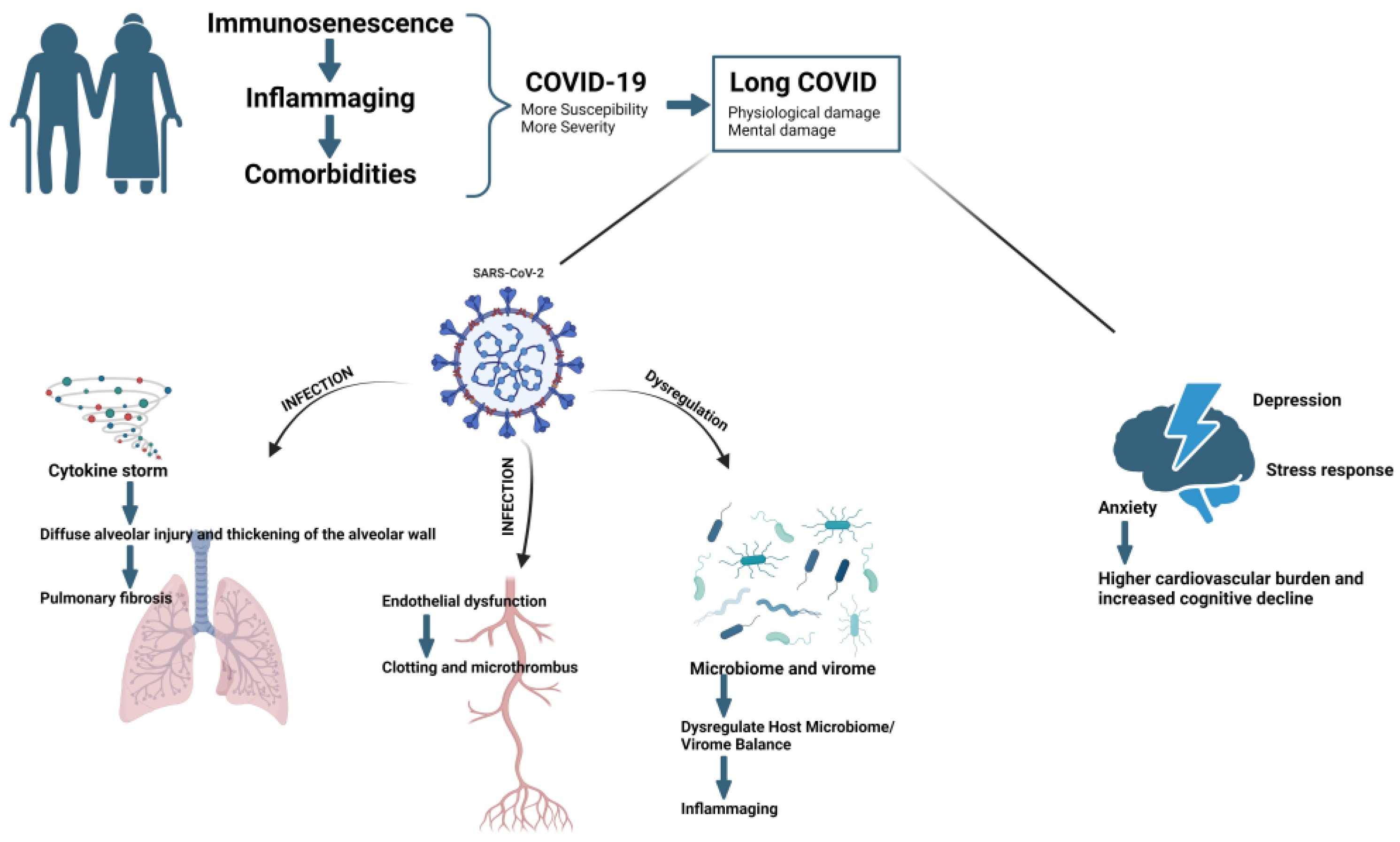 Biomedicines 11 03002 g003