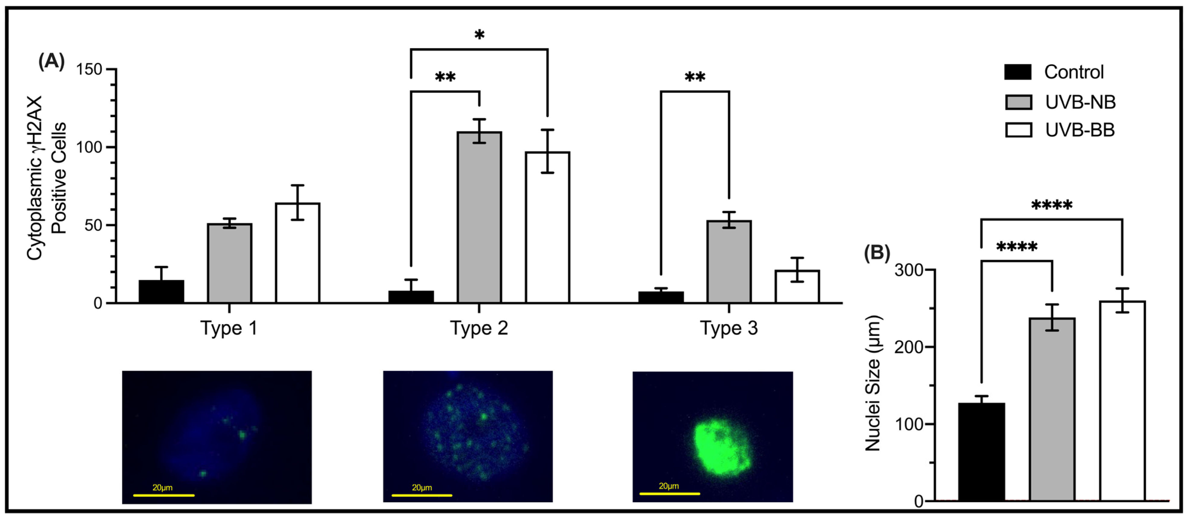 Biomedicines 11 03017 g001
