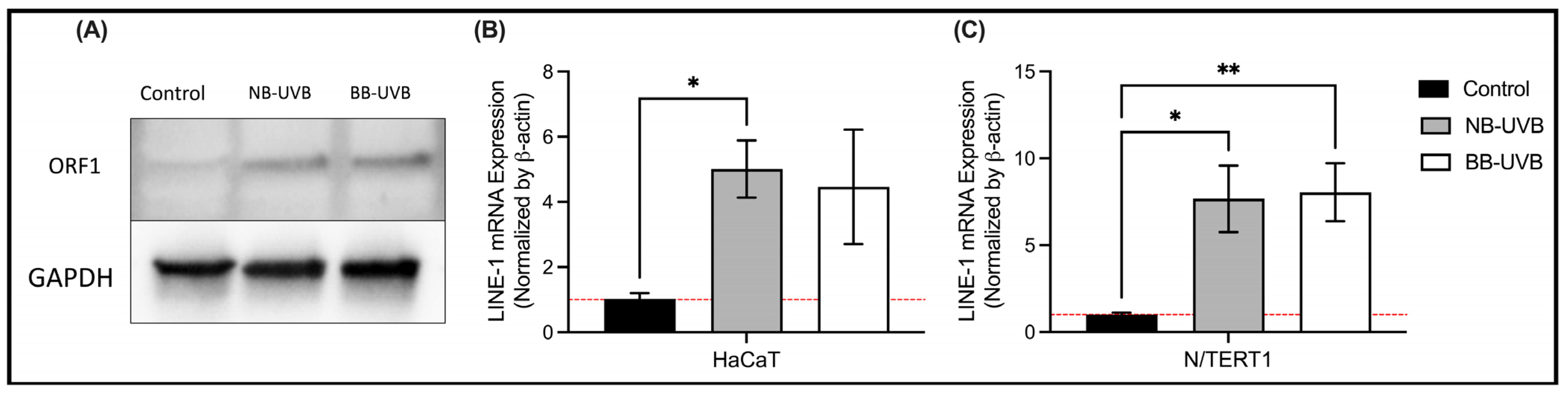 Biomedicines 11 03017 g004