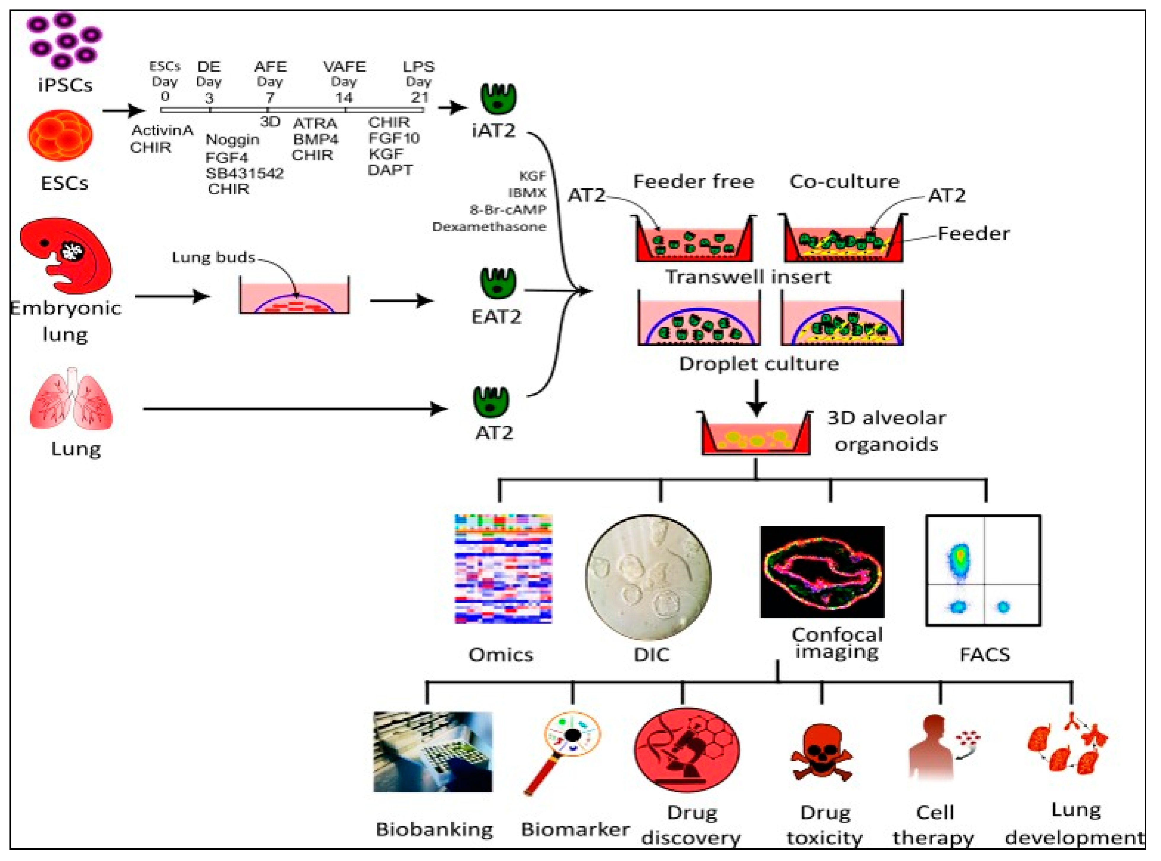 Biomedicines 11 03034 g002