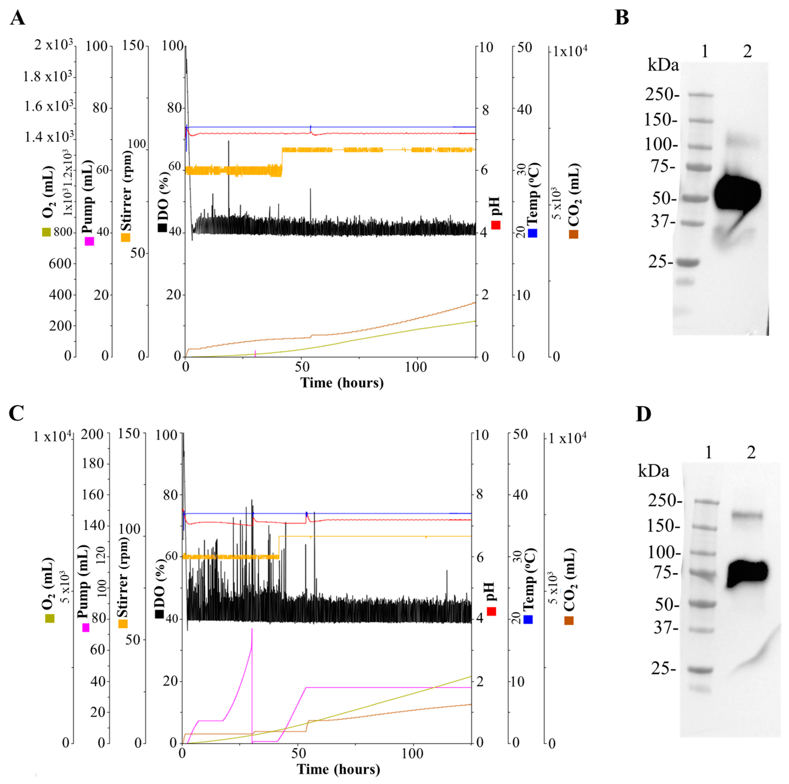 Biomedicines 11 03050 g003