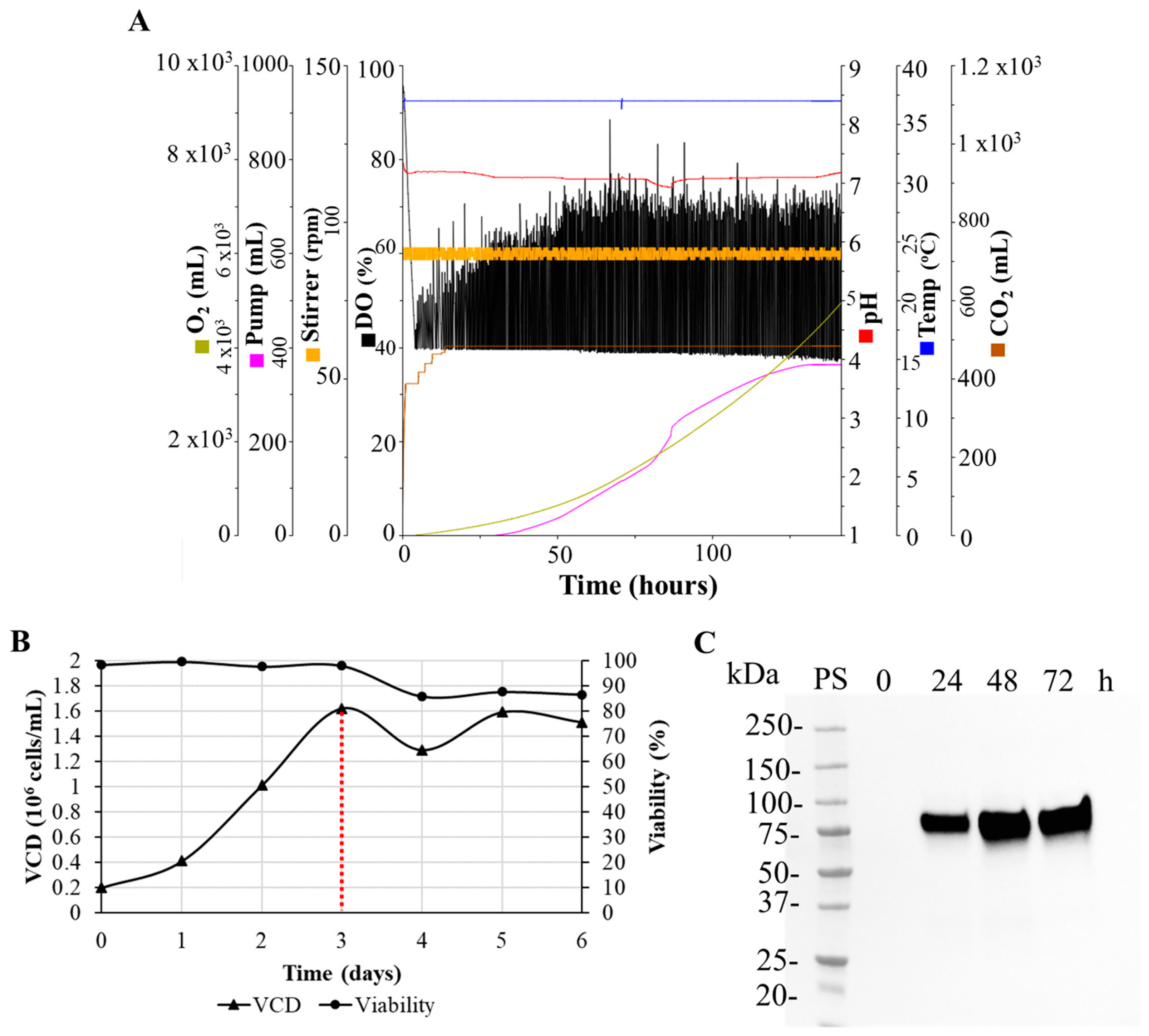 Biomedicines 11 03050 g004