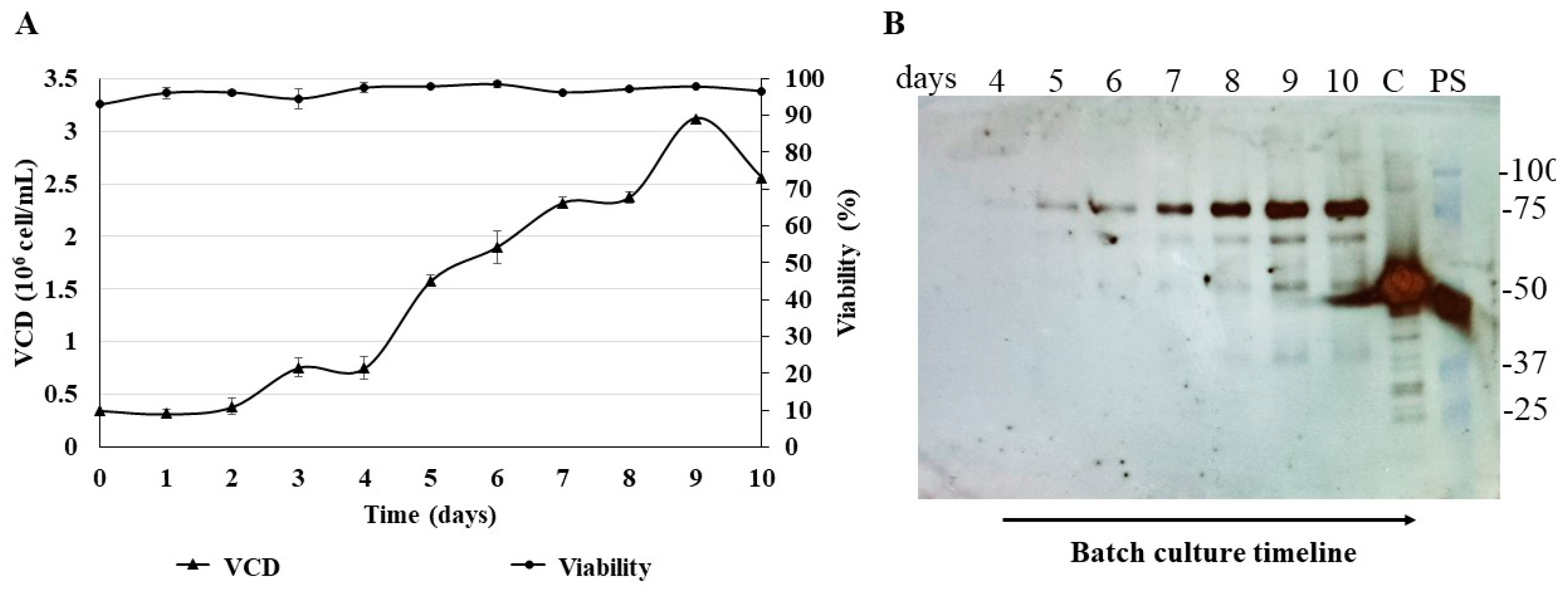 Biomedicines 11 03050 g008