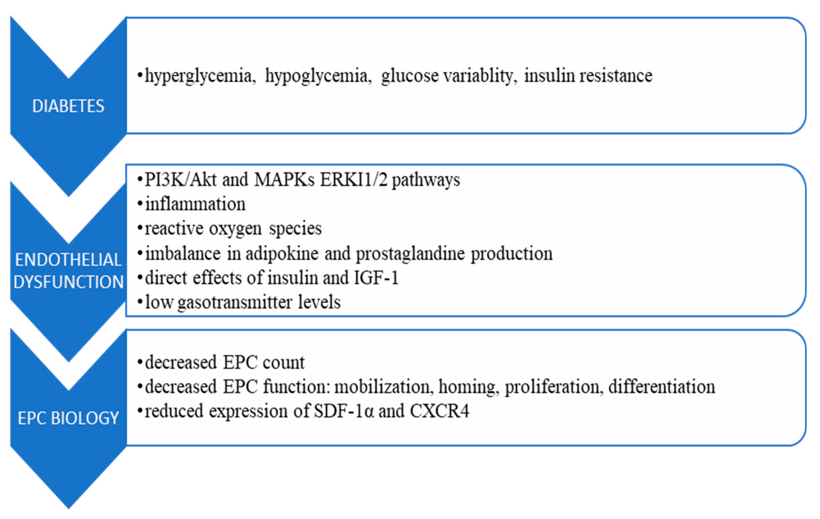 Biomedicines 11 03051 g001 Biomedicines 11 03051 g001