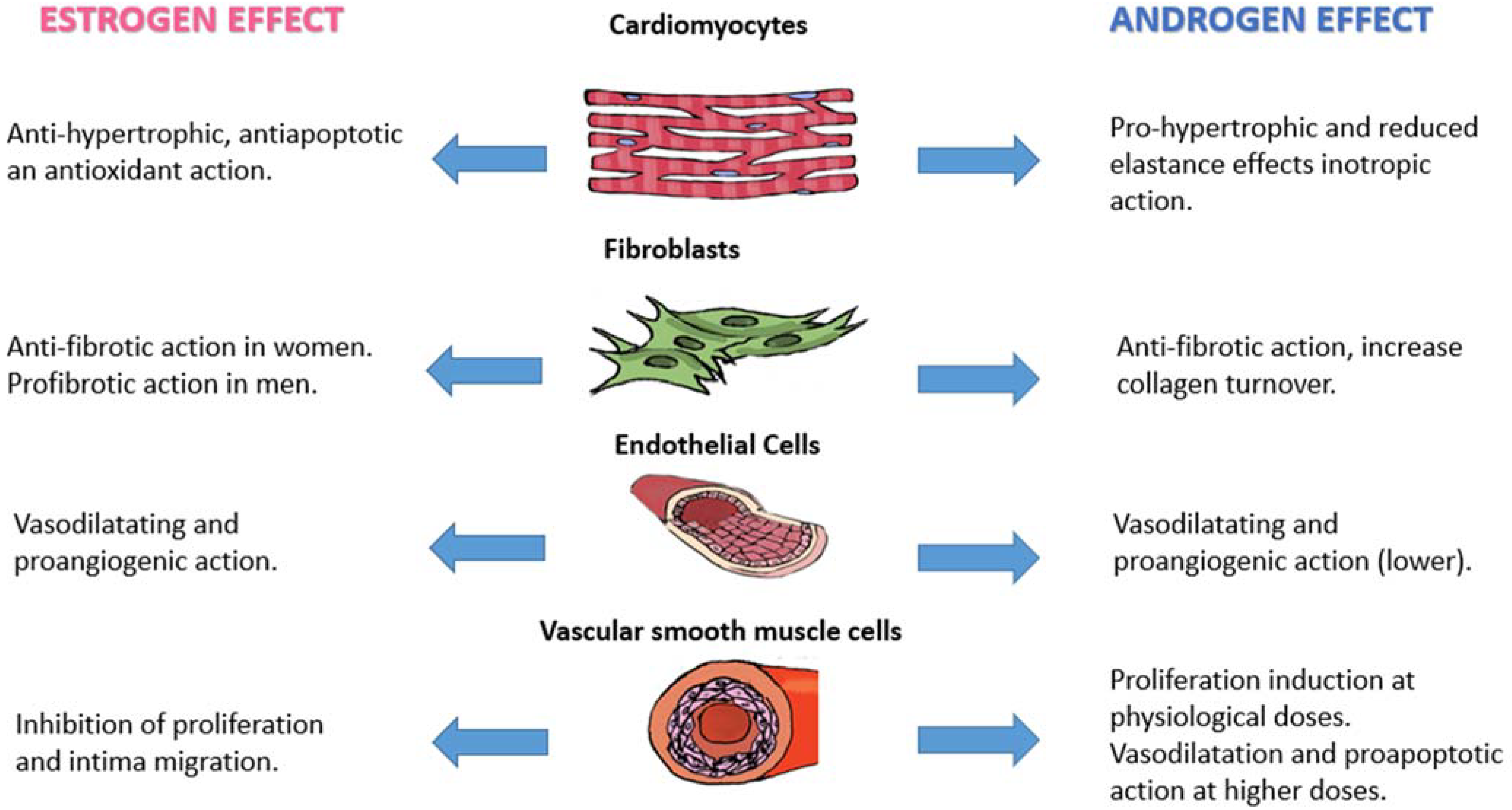 Biomedicines 11 03052 g001 Biomedicines 11 03052 g001