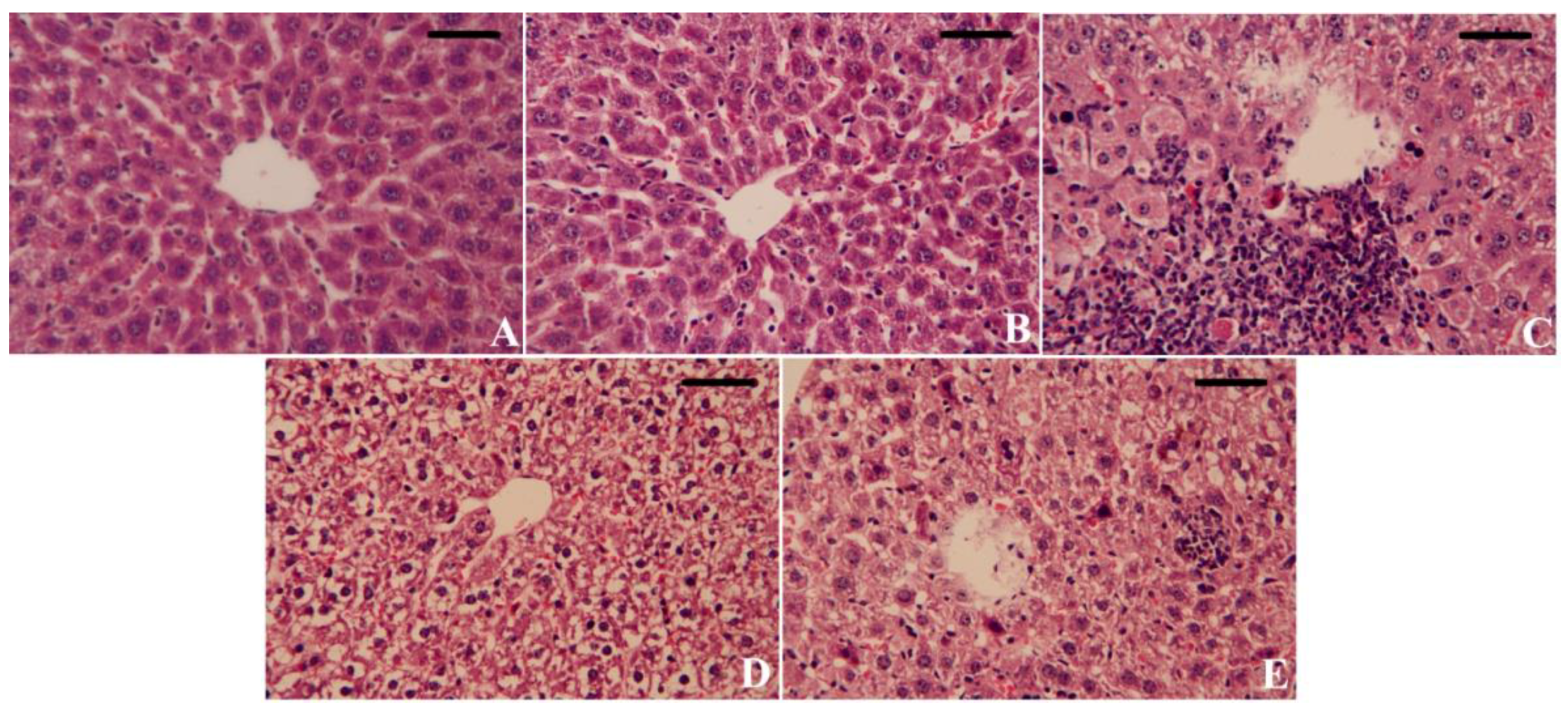 Biomedicines 11 03054 g008