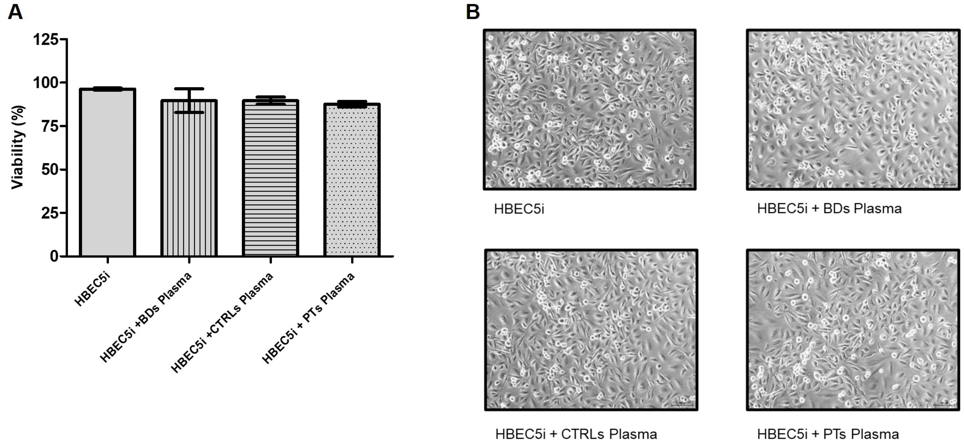Biomedicines 11 03055 g001