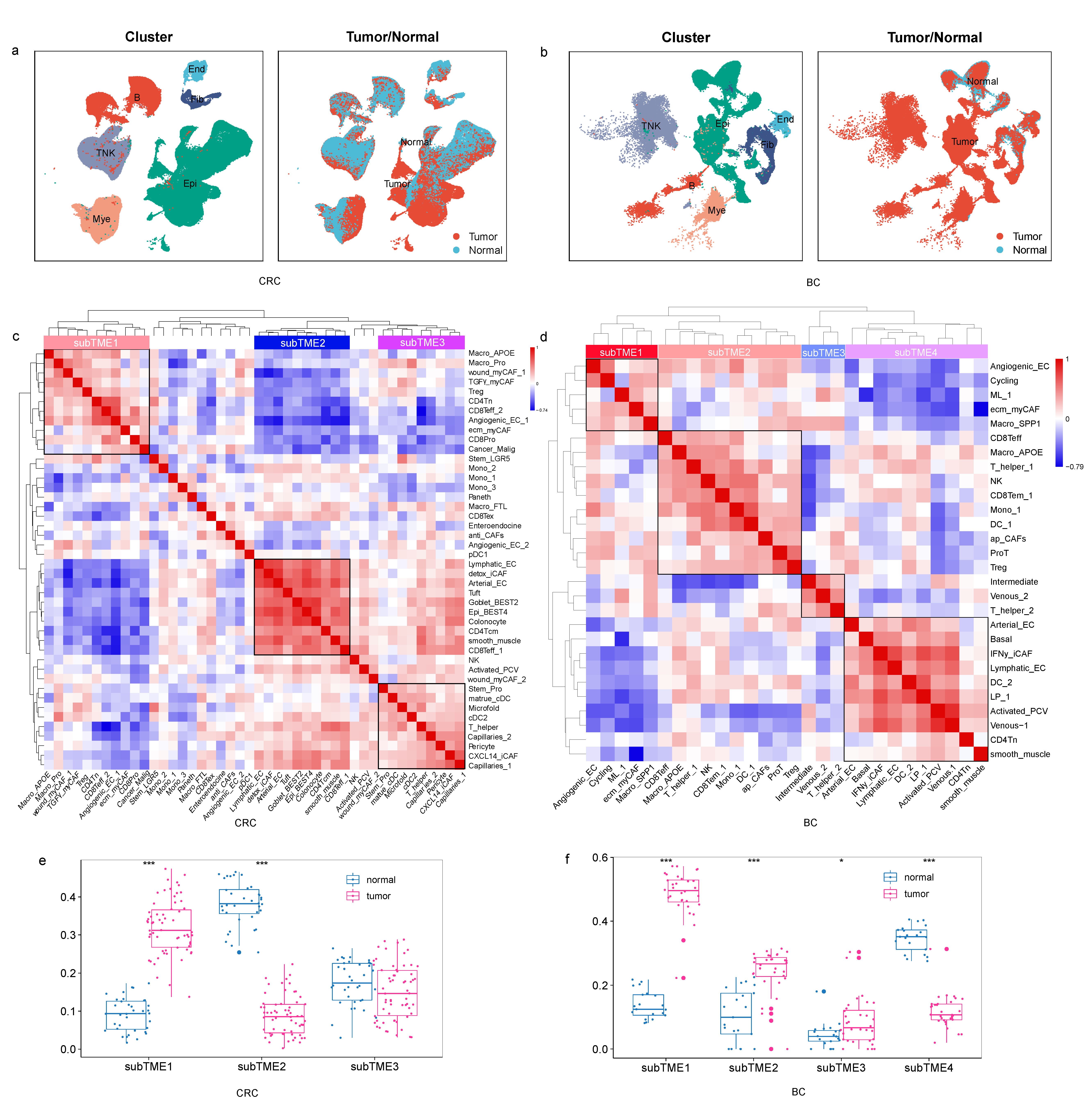 Biomedicines 11 03057 g001