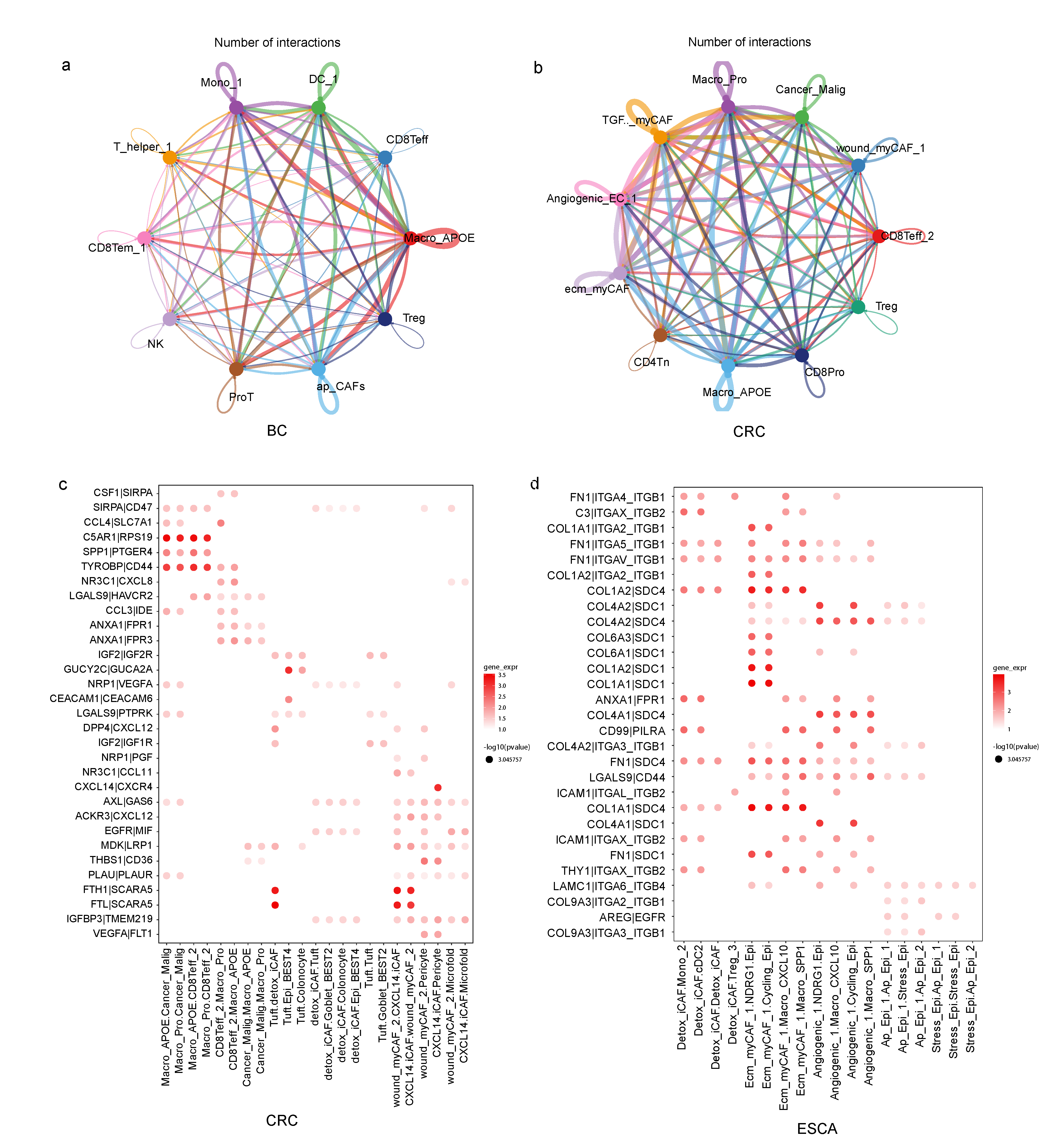 Biomedicines 11 03057 g004