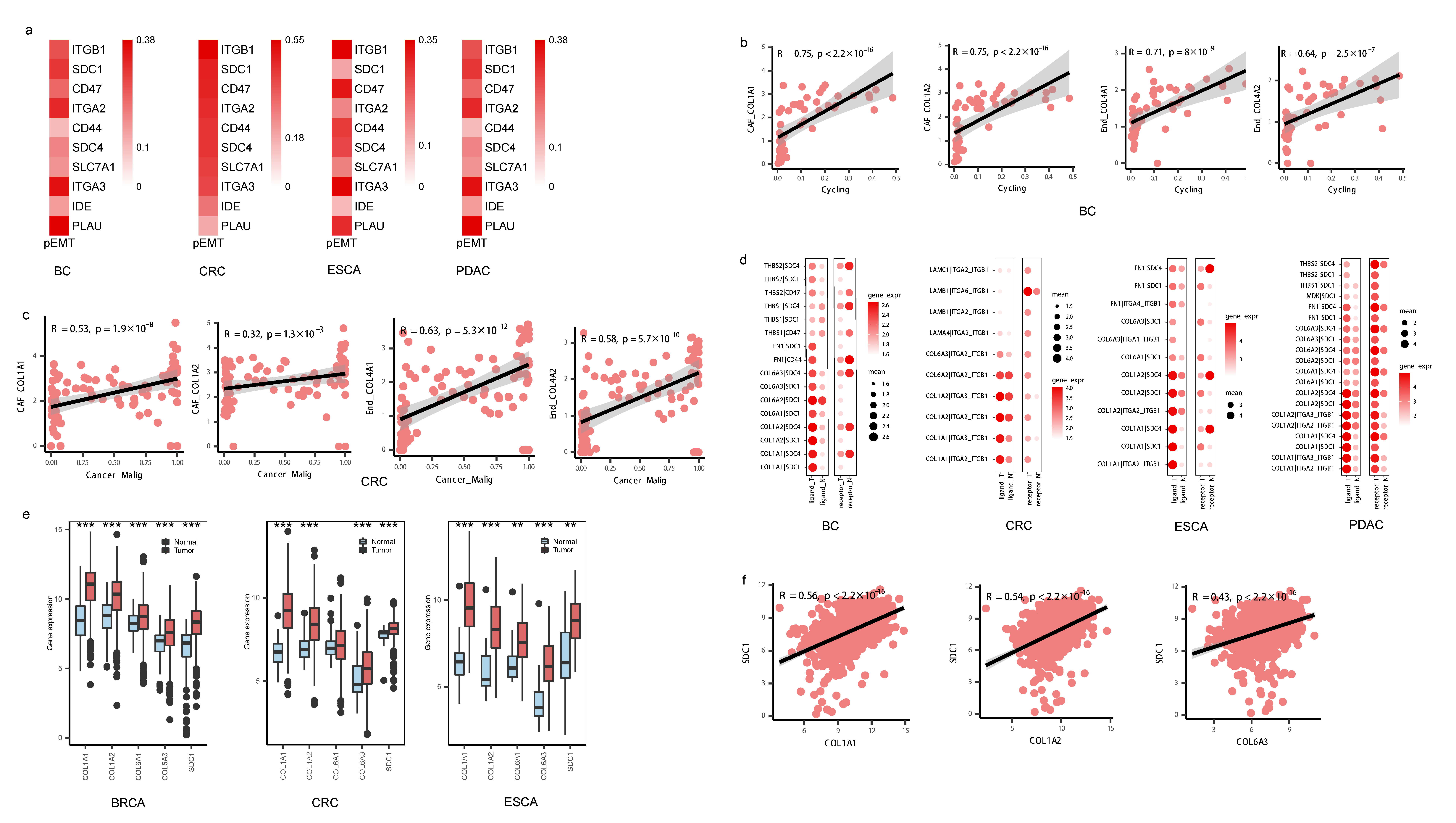 Biomedicines 11 03057 g005