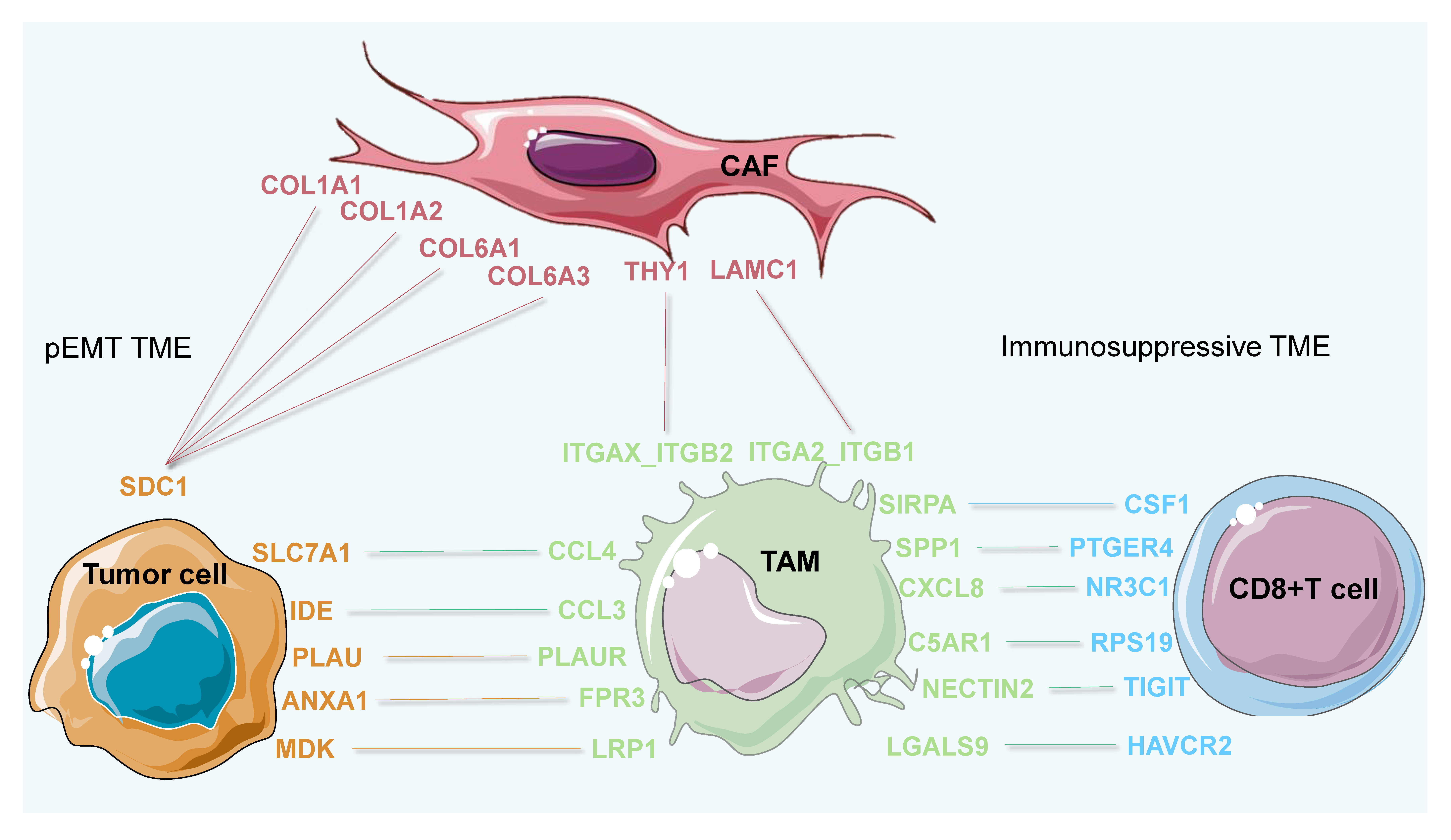 Biomedicines 11 03057 g009
