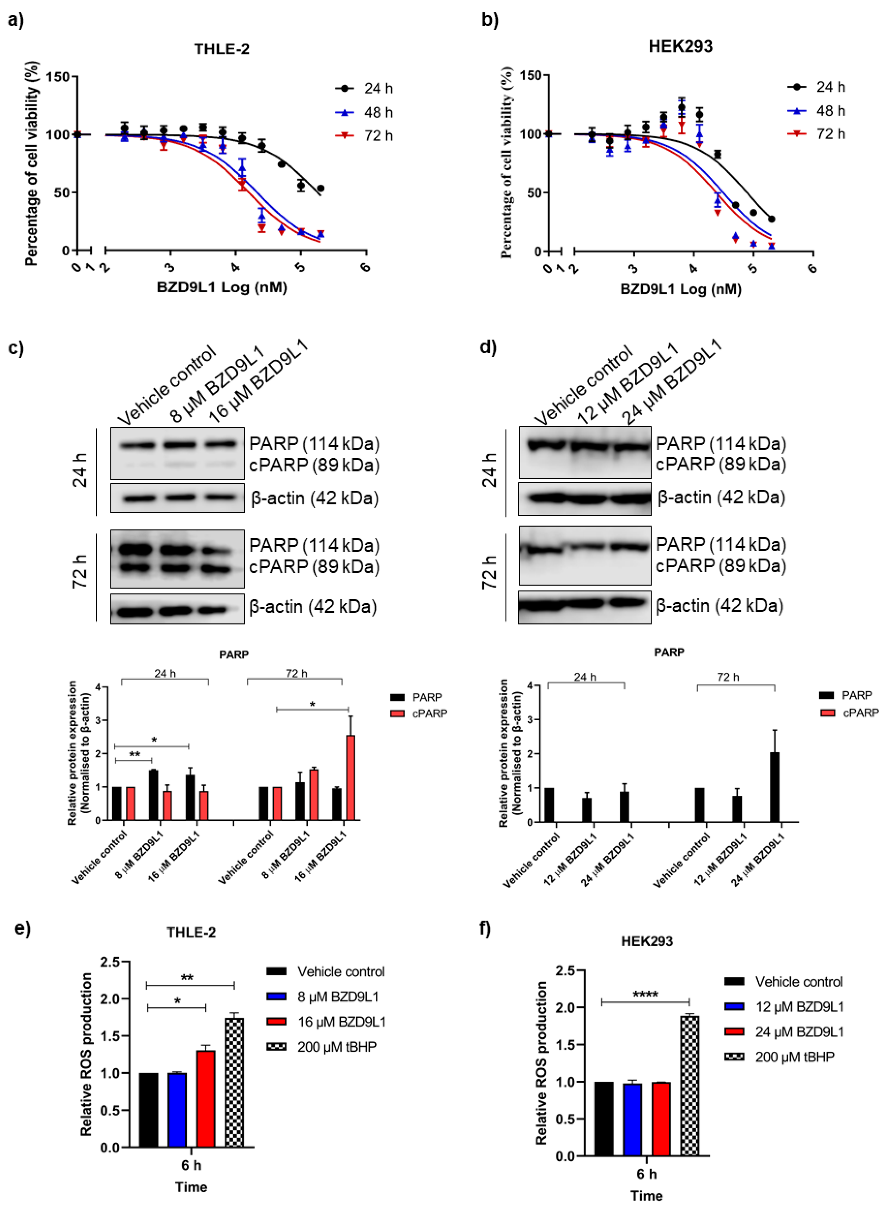 Biomedicines 11 03059 g001