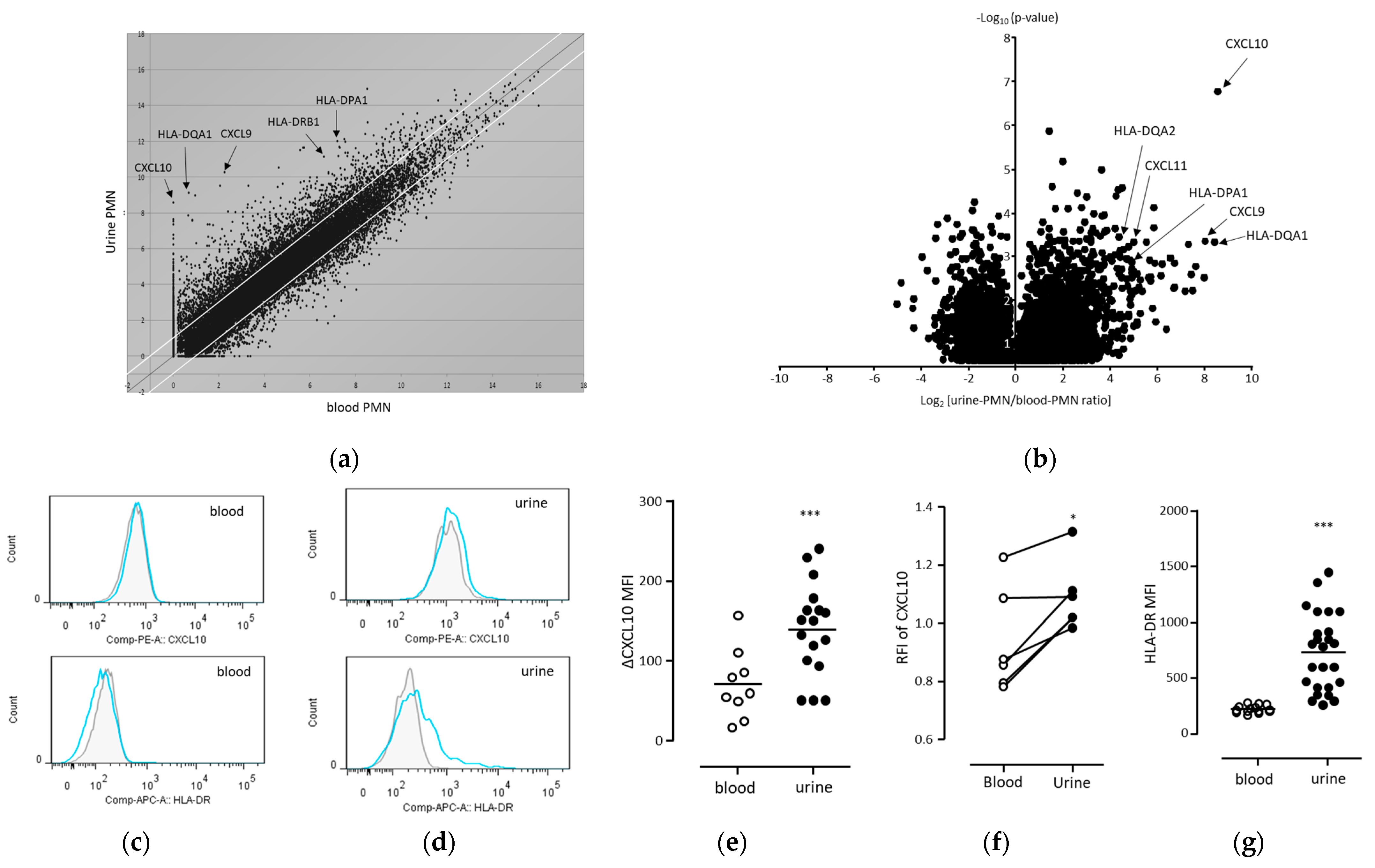 Biomedicines 11 03062 g002