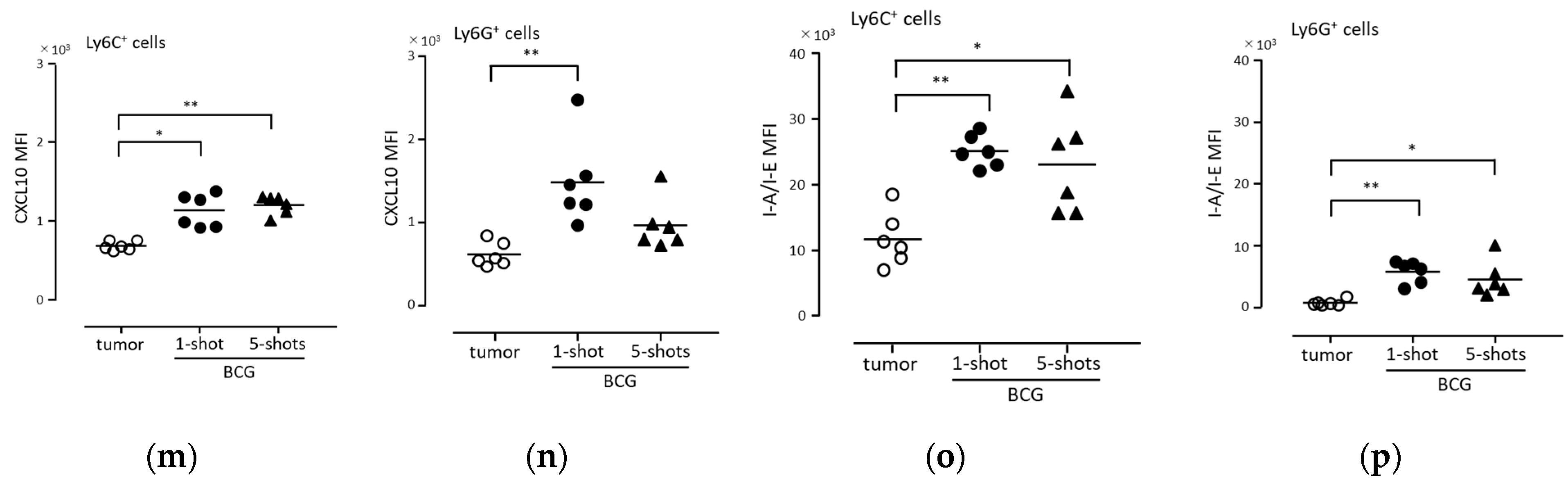 Biomedicines 11 03062 g004b