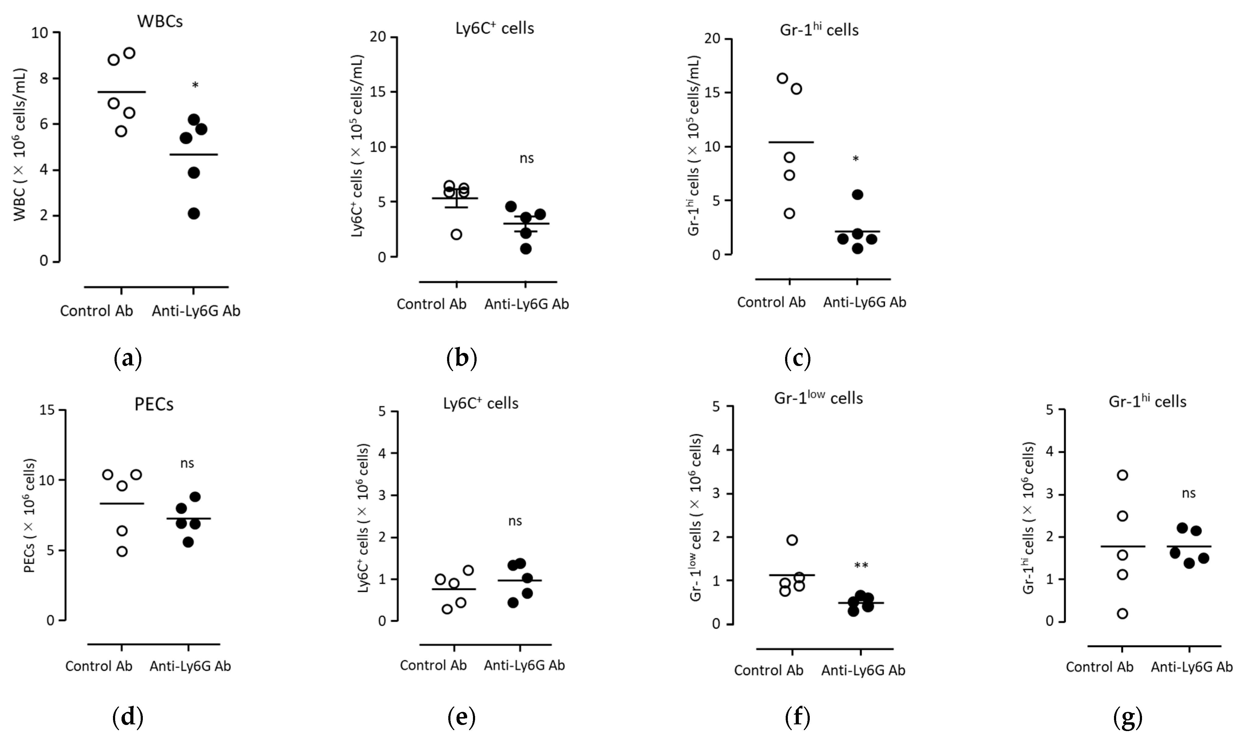 Biomedicines 11 03062 g006