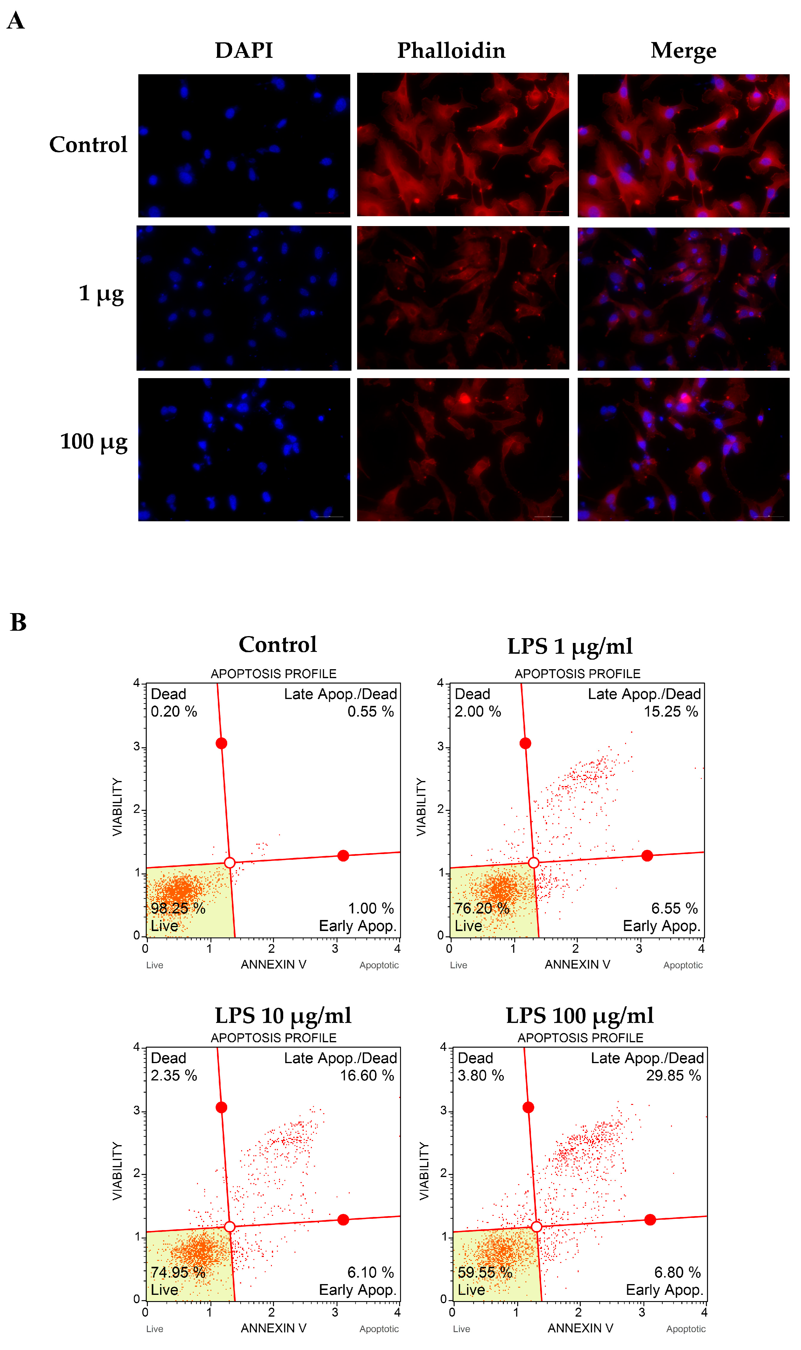 Biomedicines 11 03065 g002