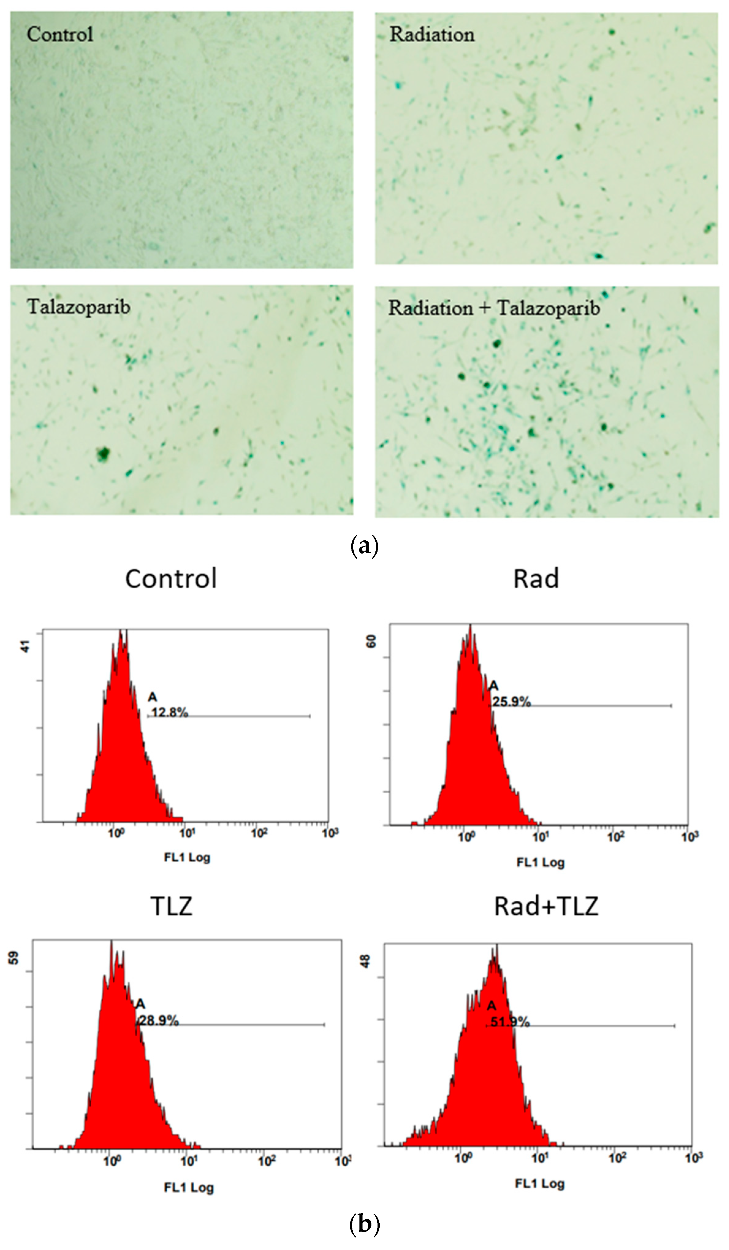 Biomedicines 11 03066 g001a
