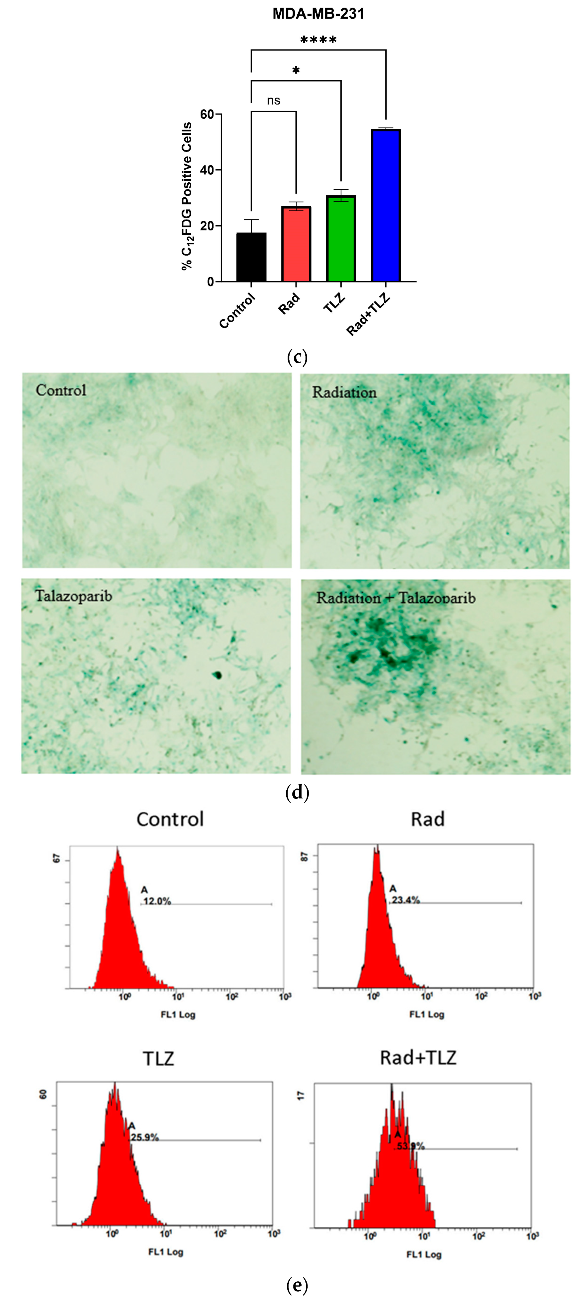 Biomedicines 11 03066 g001b