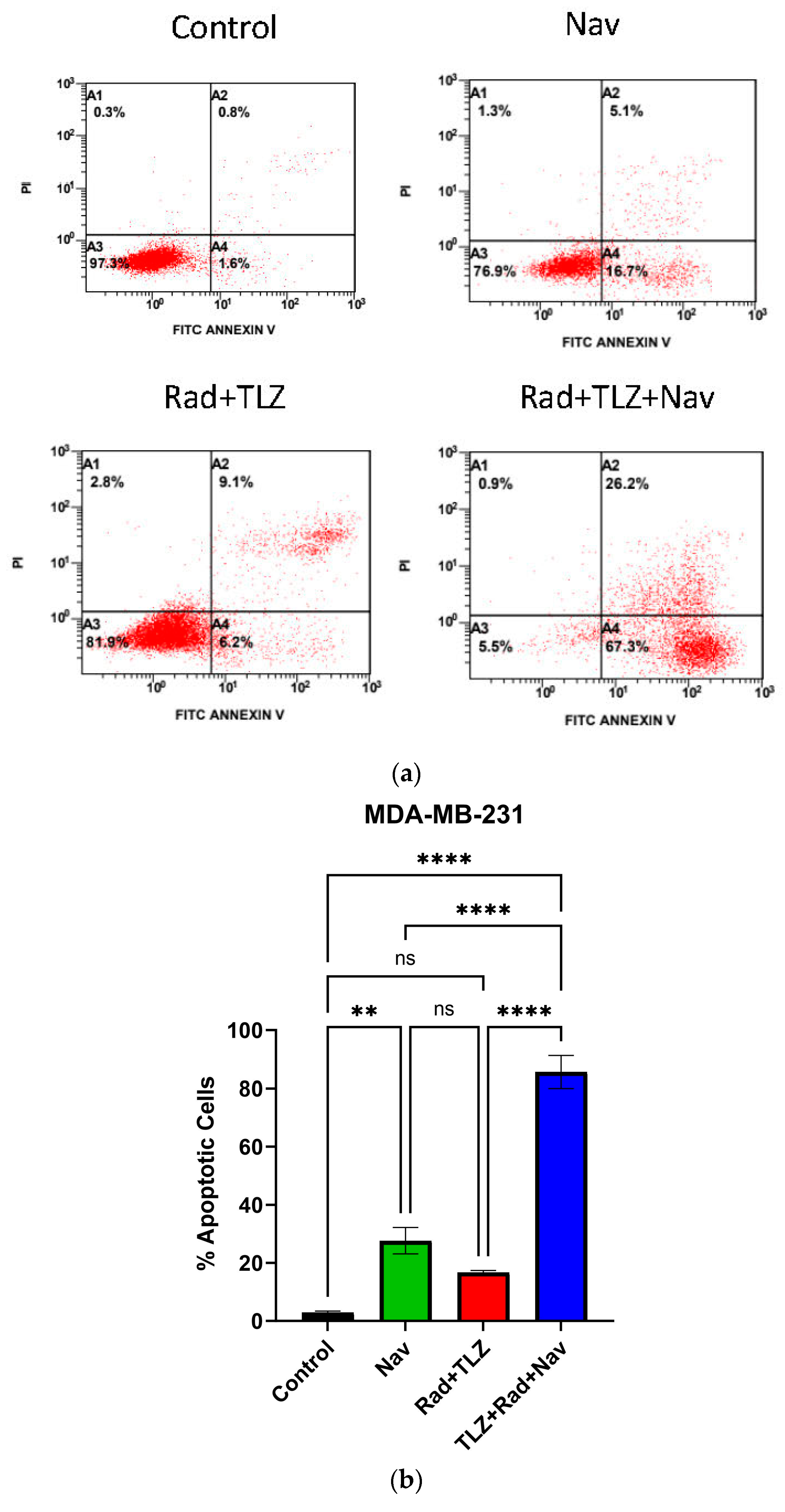 Biomedicines 11 03066 g002a