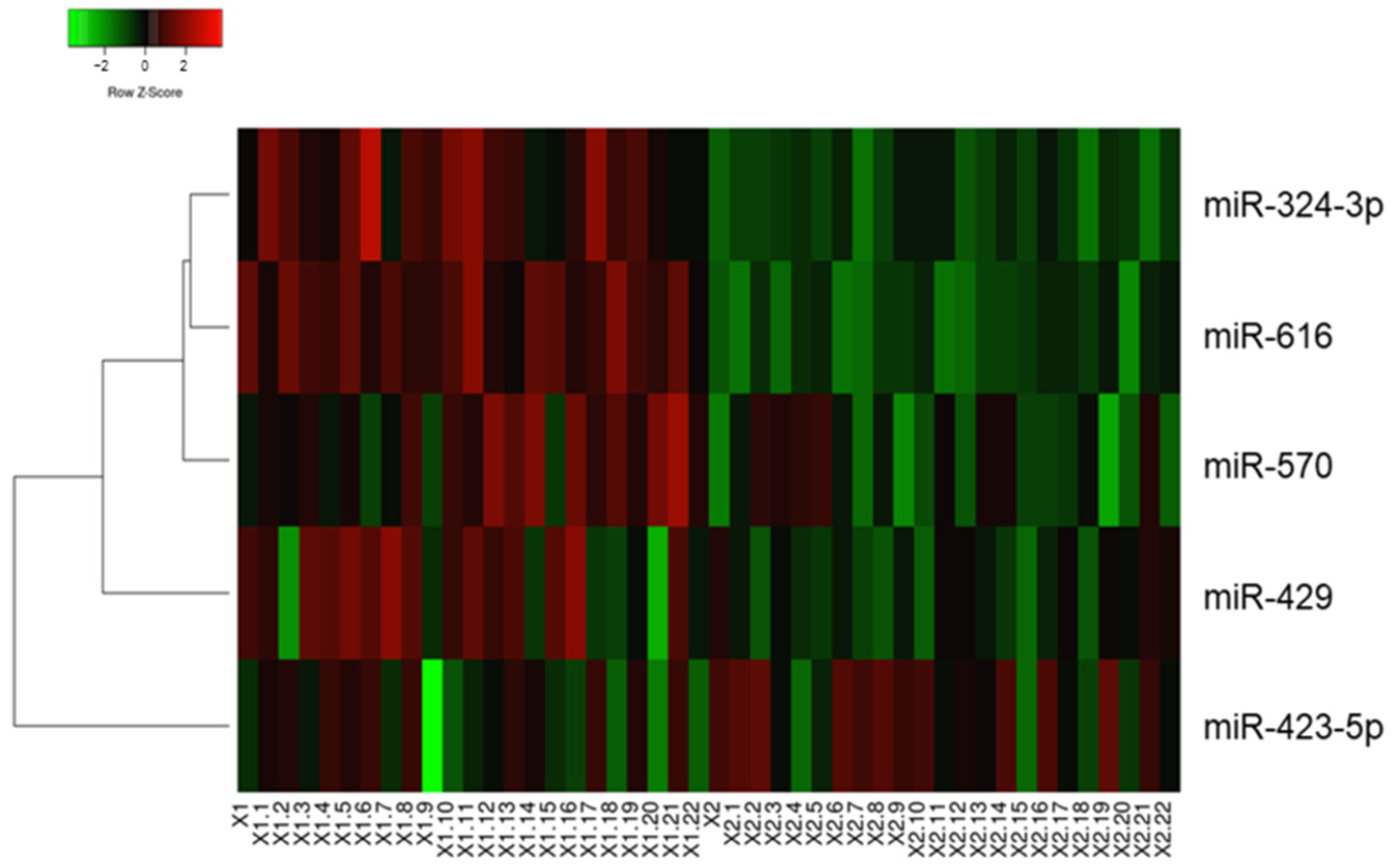 Biomedicines 11 03073 g001