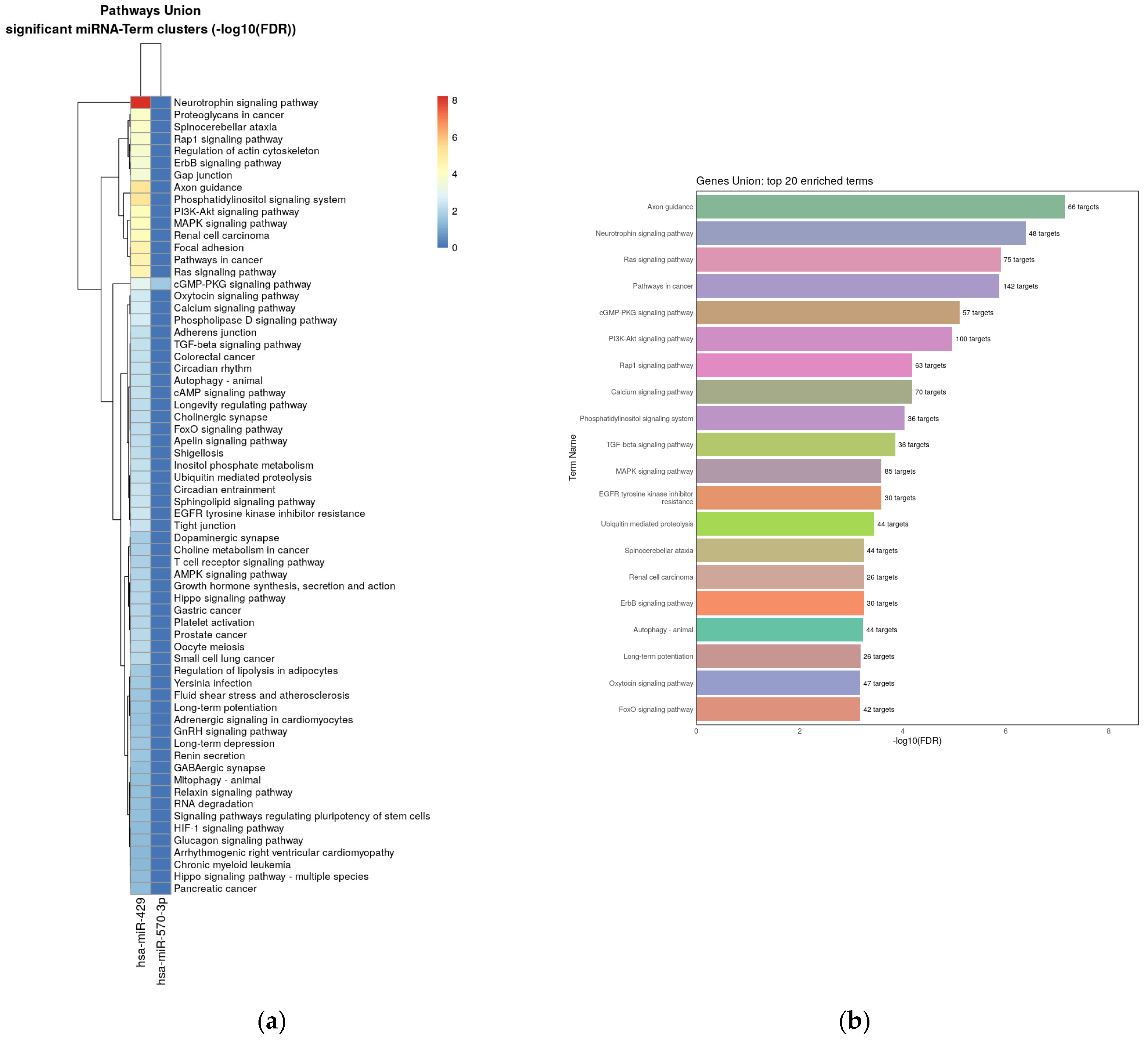 Biomedicines 11 03073 g005