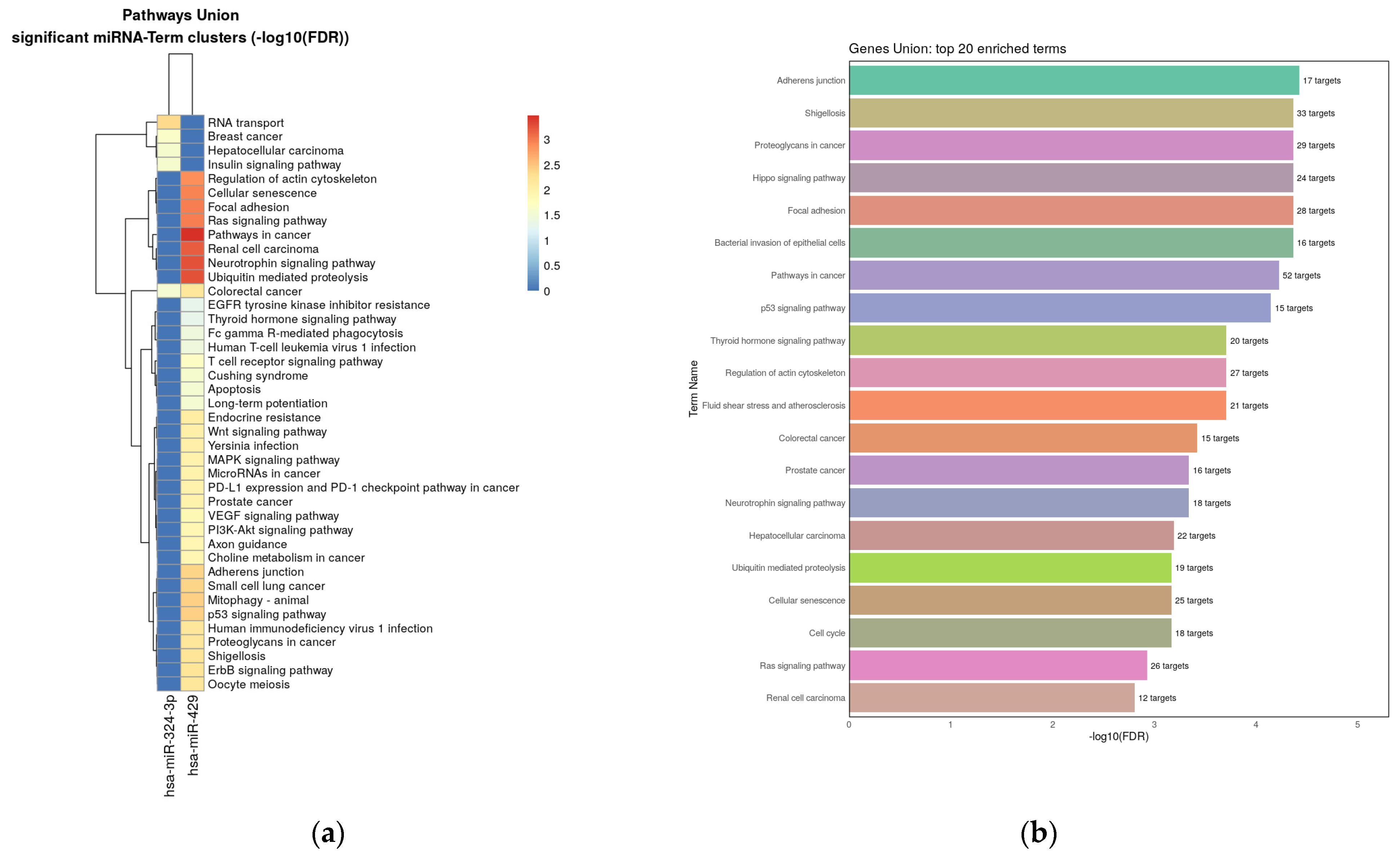 Biomedicines 11 03073 g006