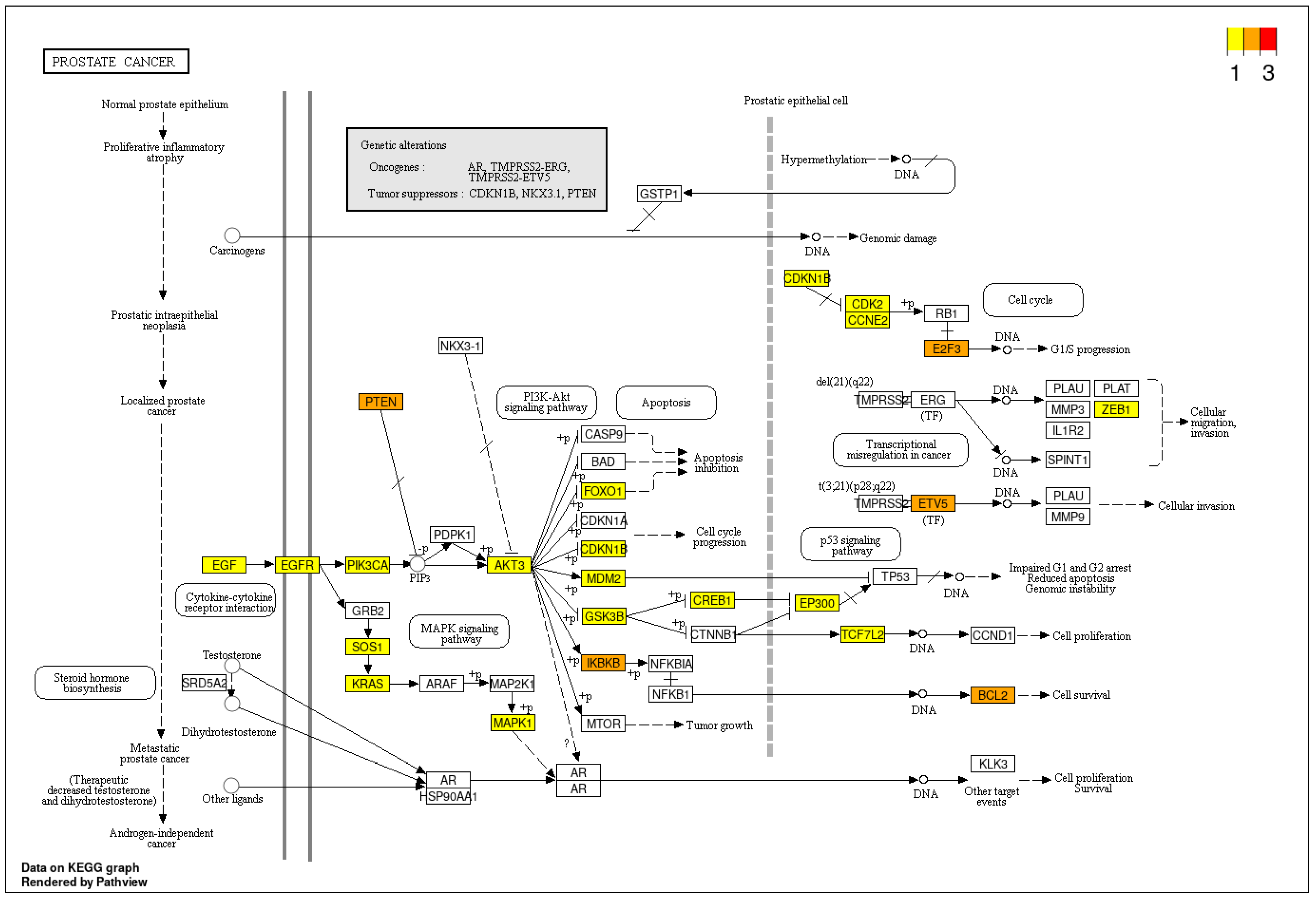 Biomedicines 11 03073 g010