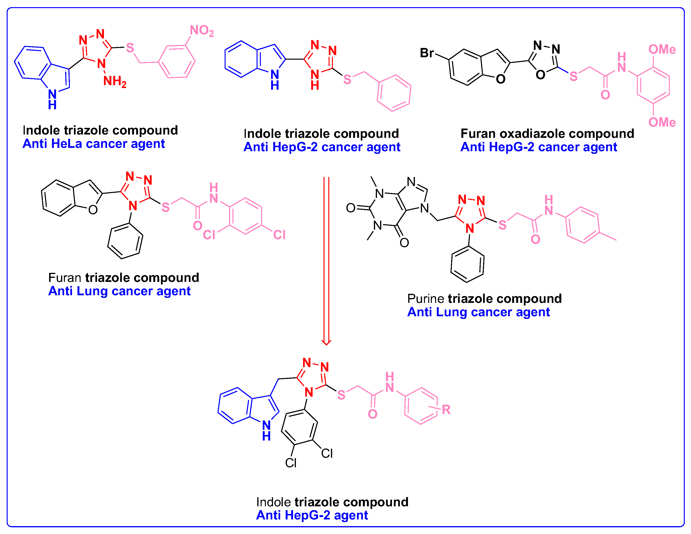 Biomedicines 11 03078 g002