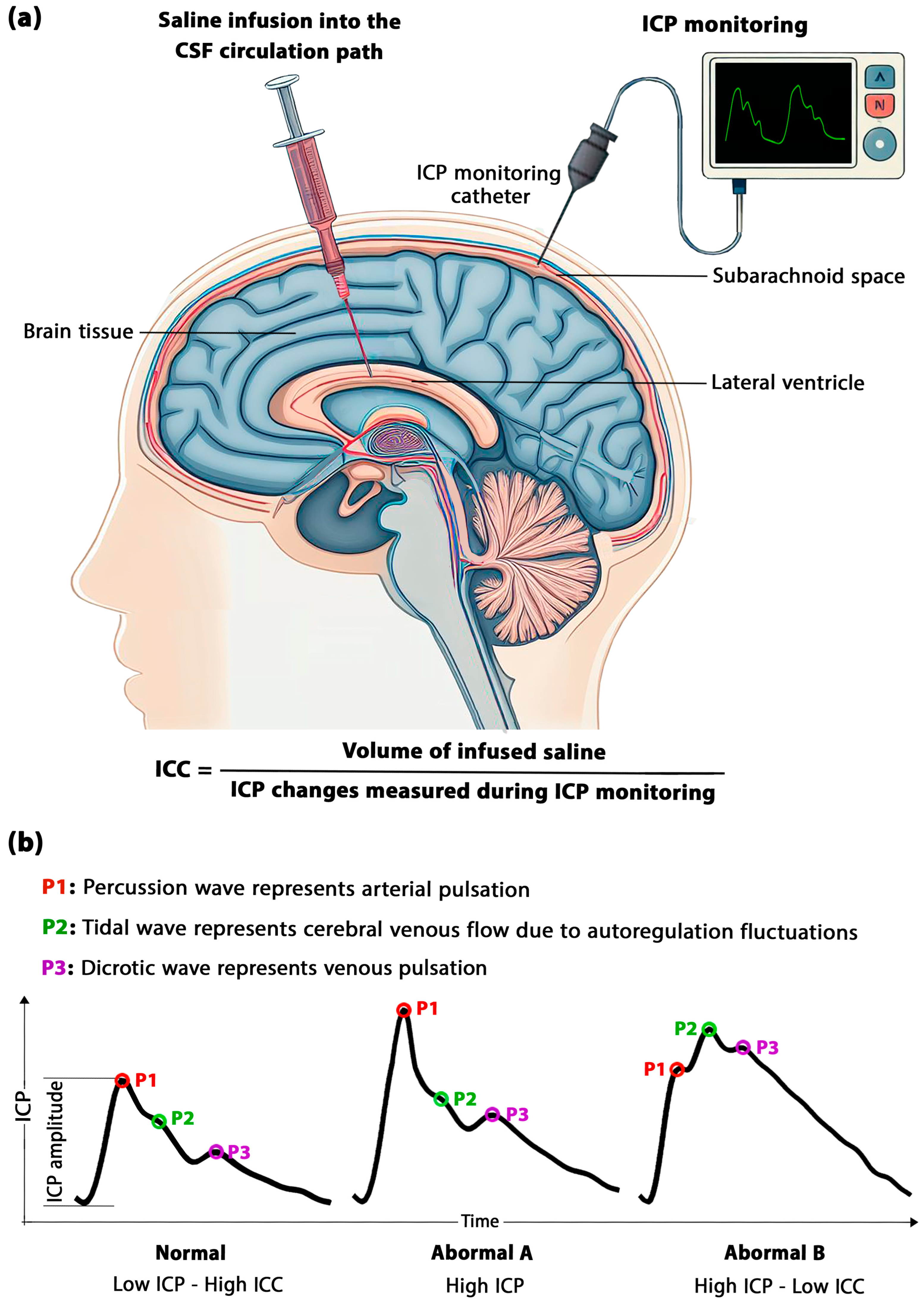 Biomedicines 11 03083 g001