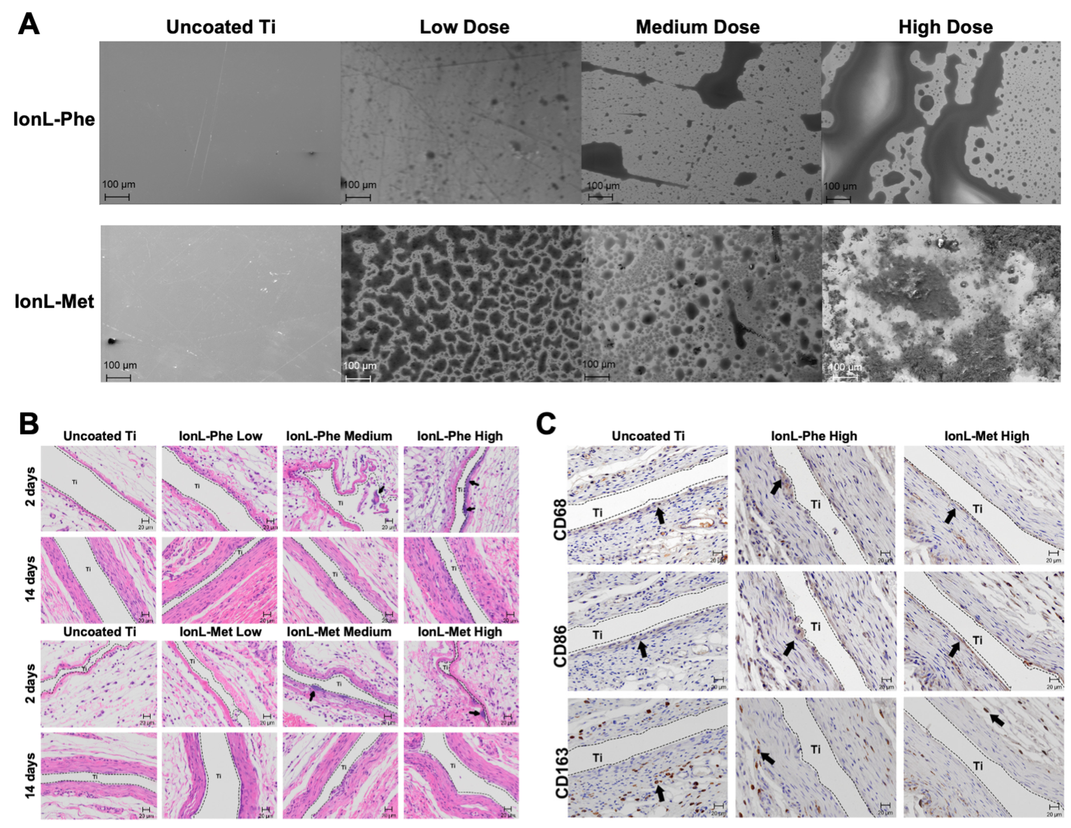 Biomedicines 11 03093 g005