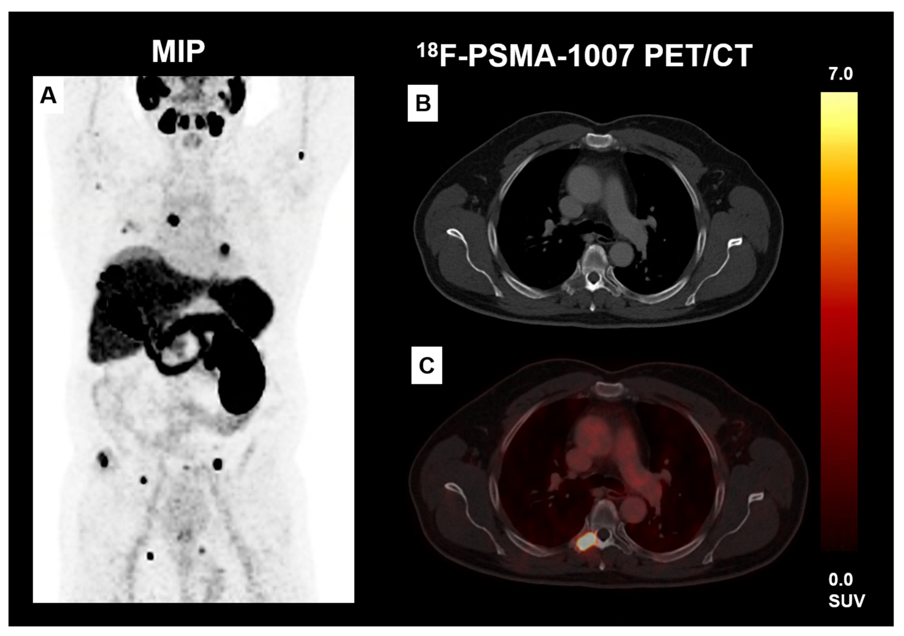Biomedicines 11 03095 g004