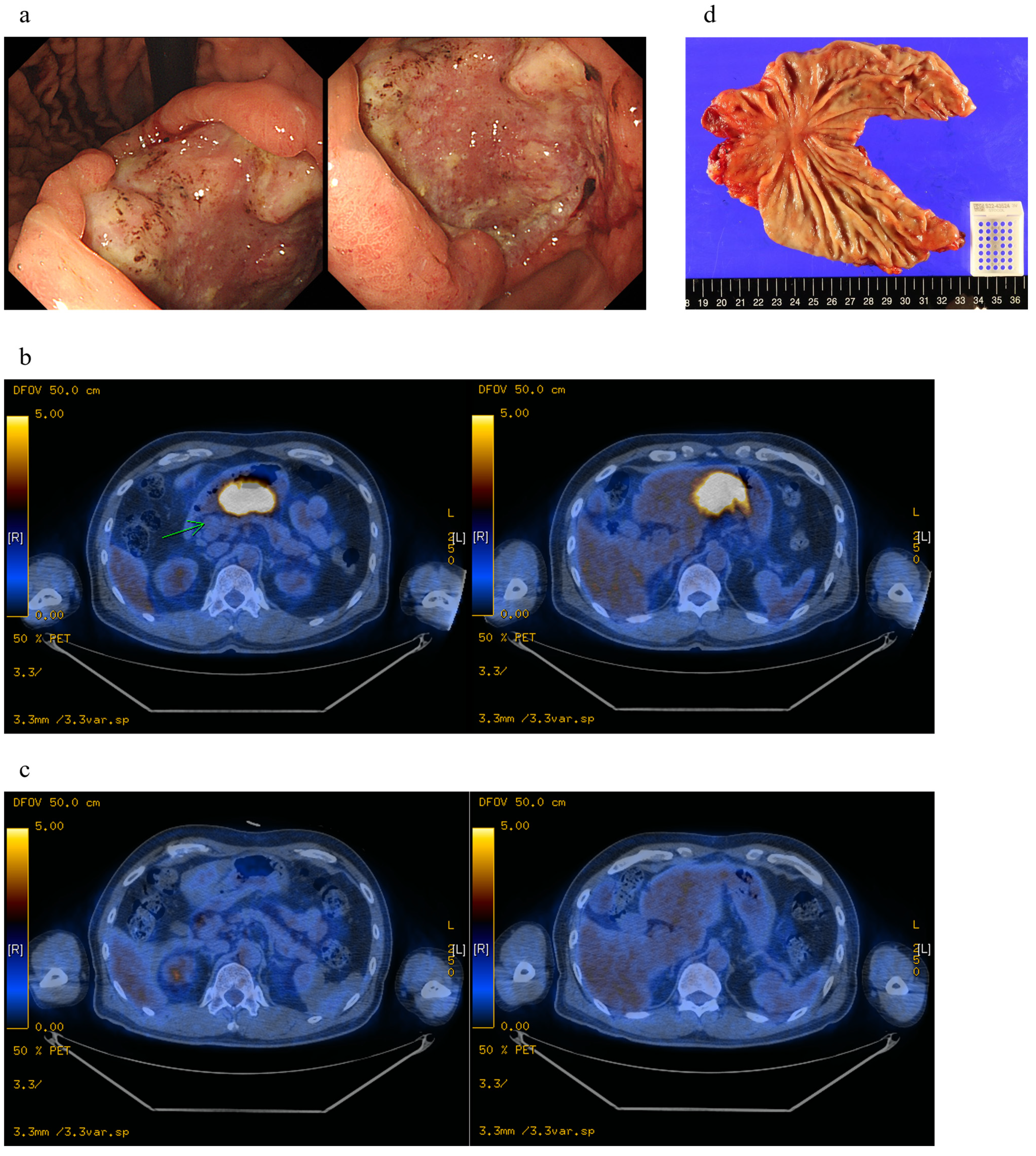 Biomedicines 11 03097 g007