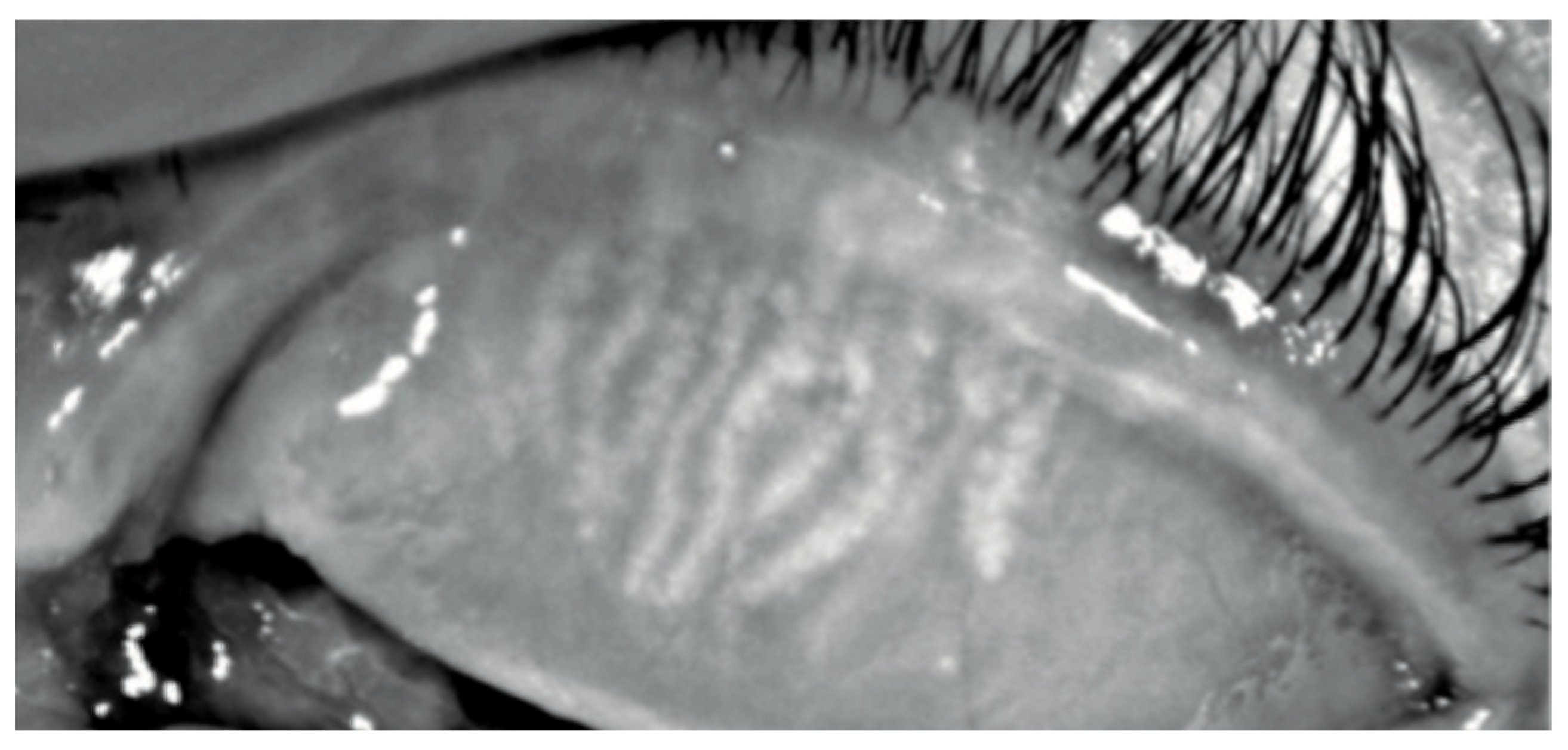 Biomedicines 11 03104 g003