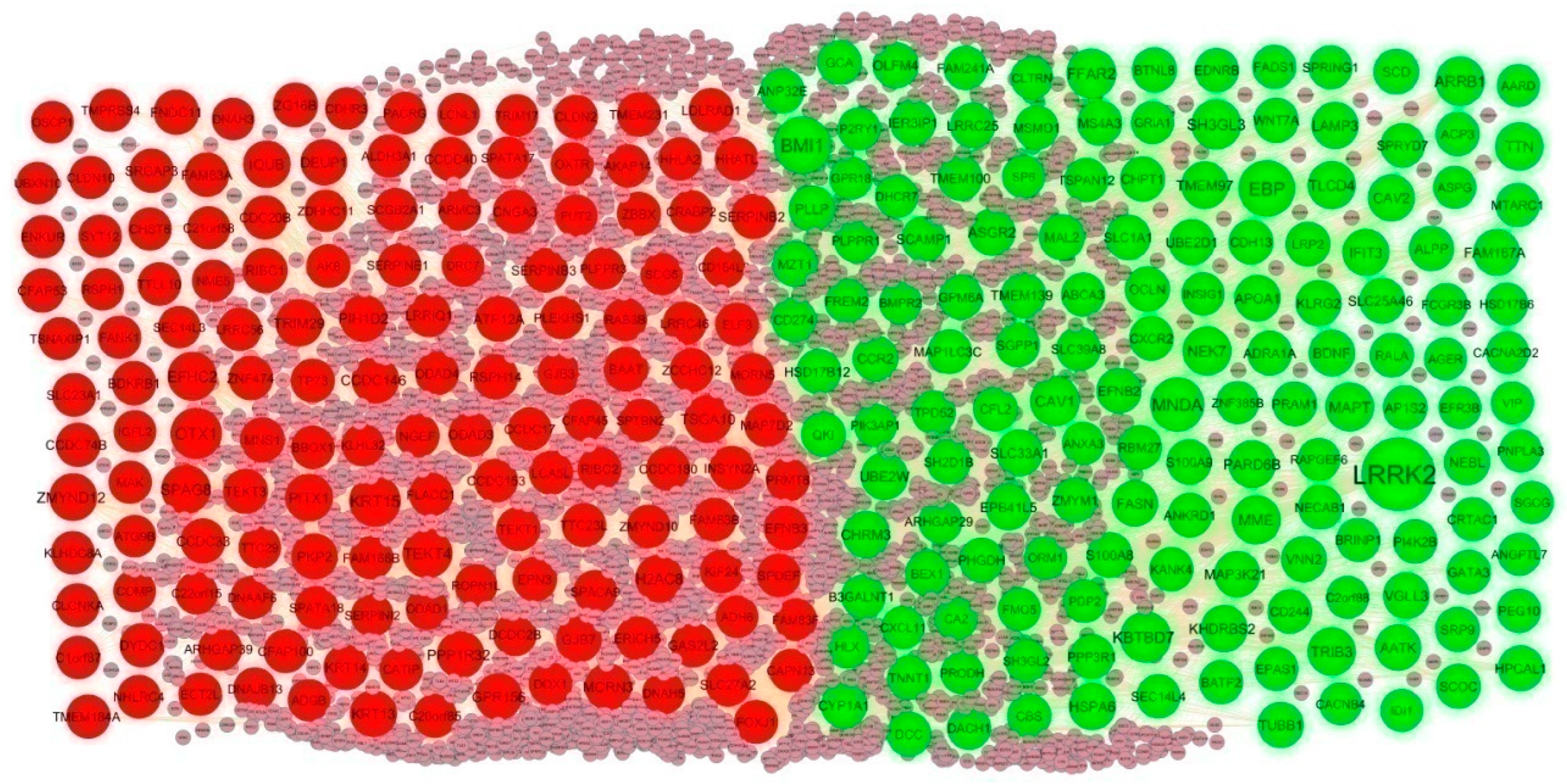 Biomedicines 11 03109 g004