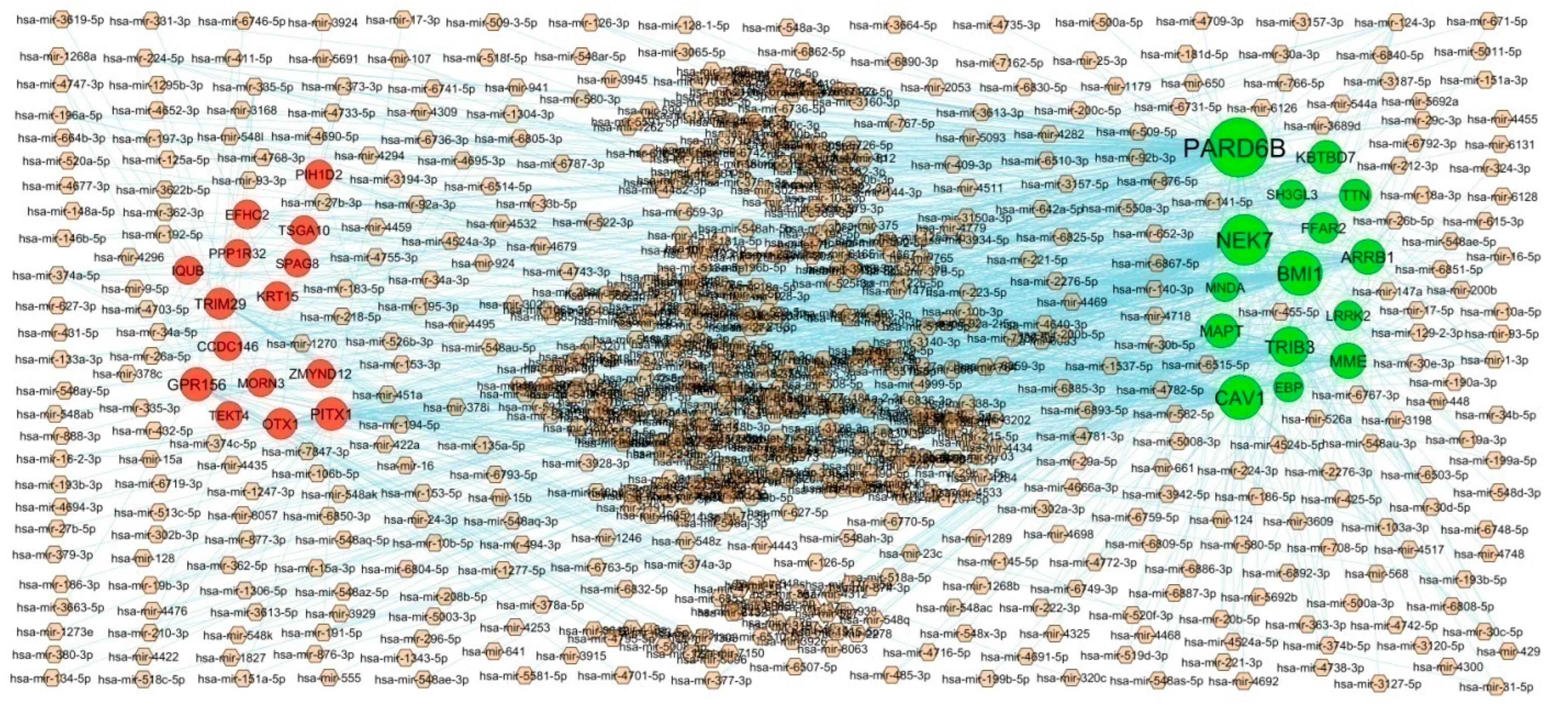 Biomedicines 11 03109 g006