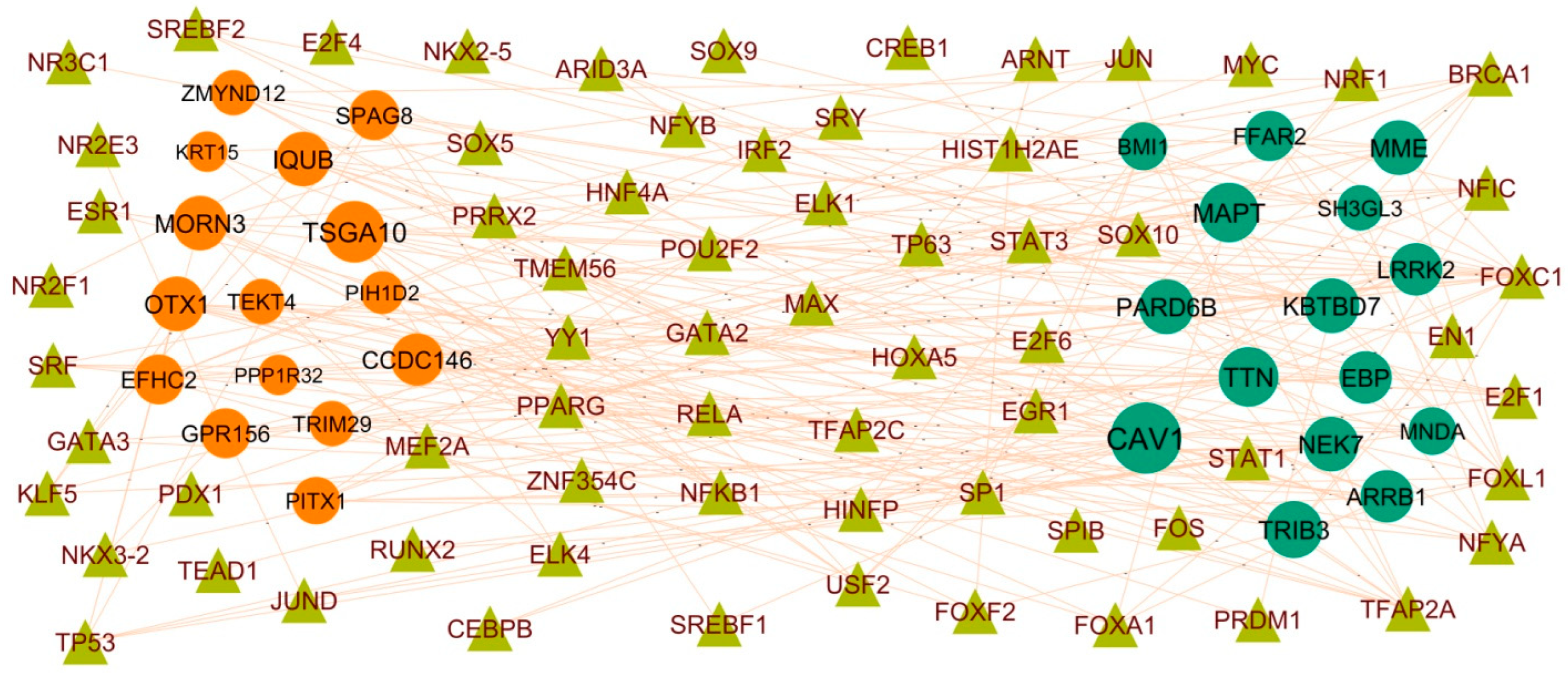 Biomedicines 11 03109 g007