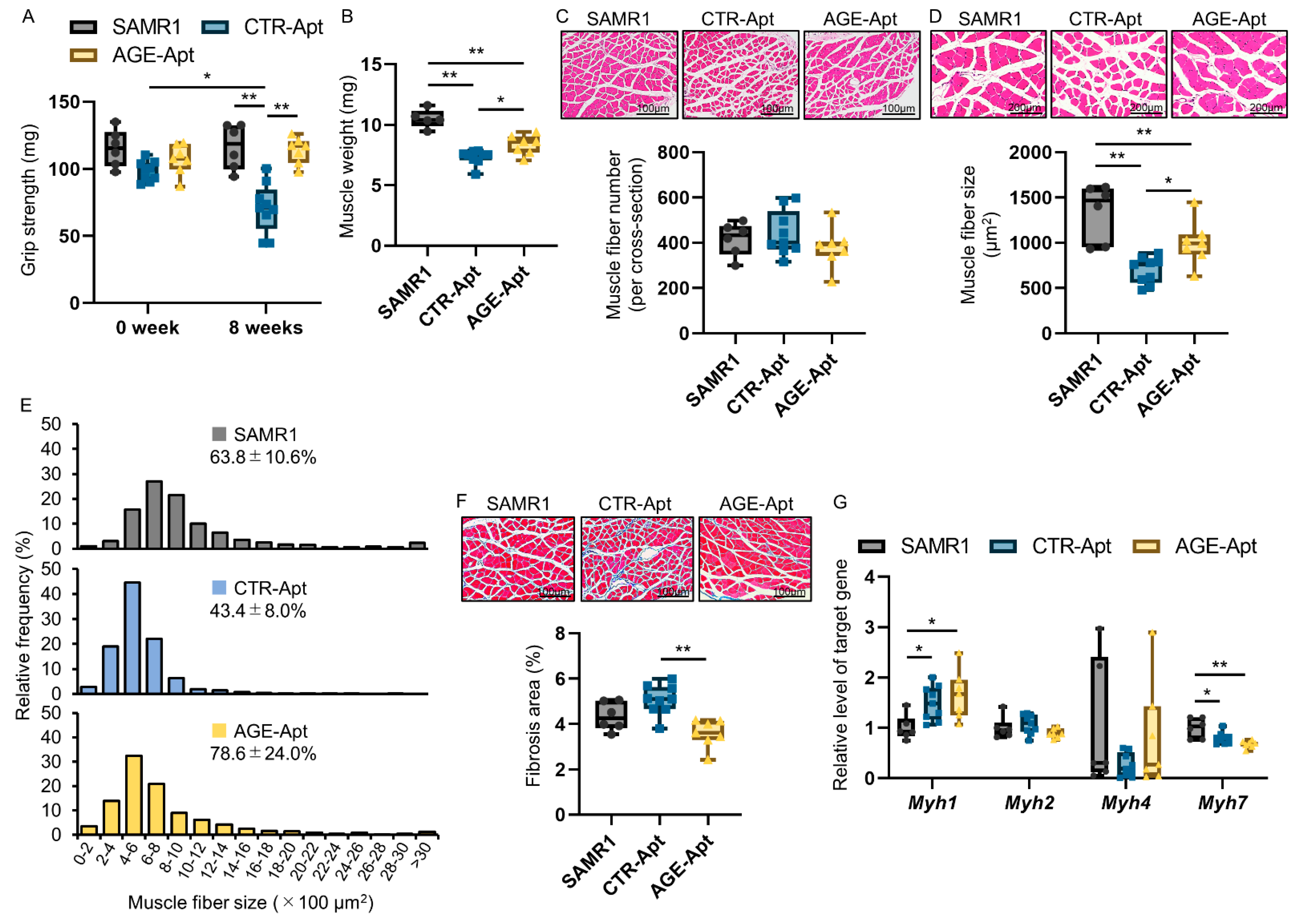 Biomedicines 11 03112 g001