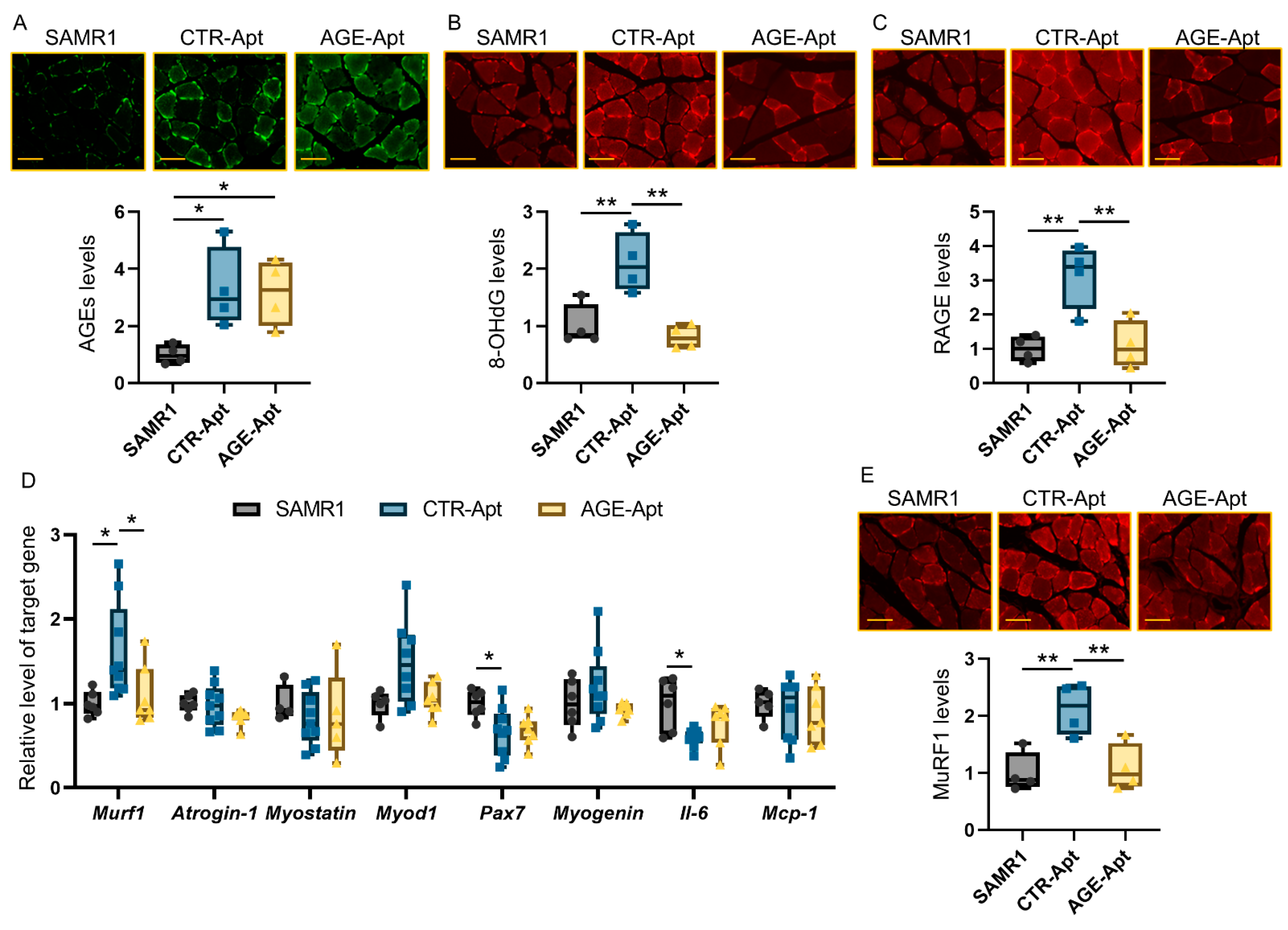 Biomedicines 11 03112 g002