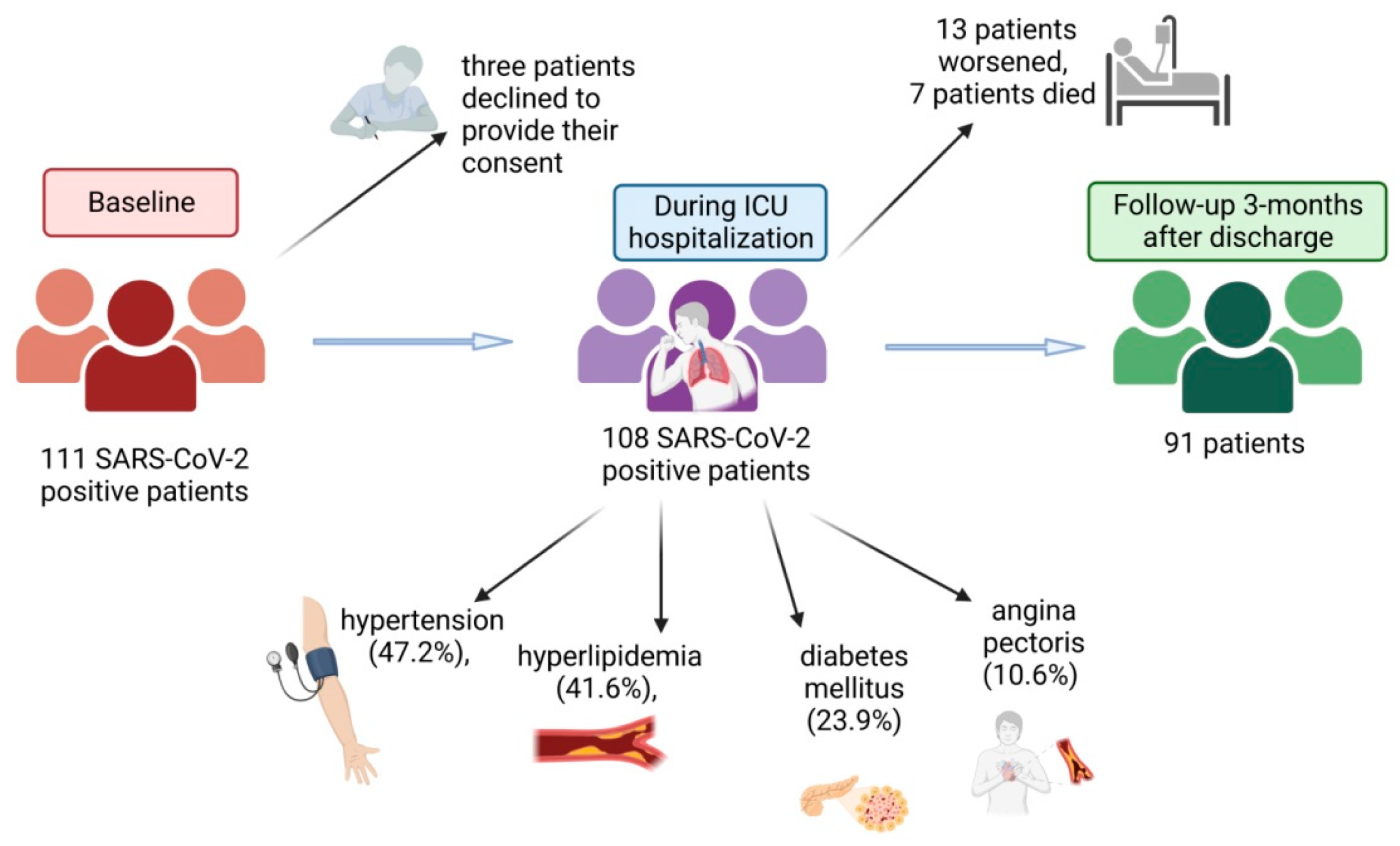 Biomedicines 11 03117 g001