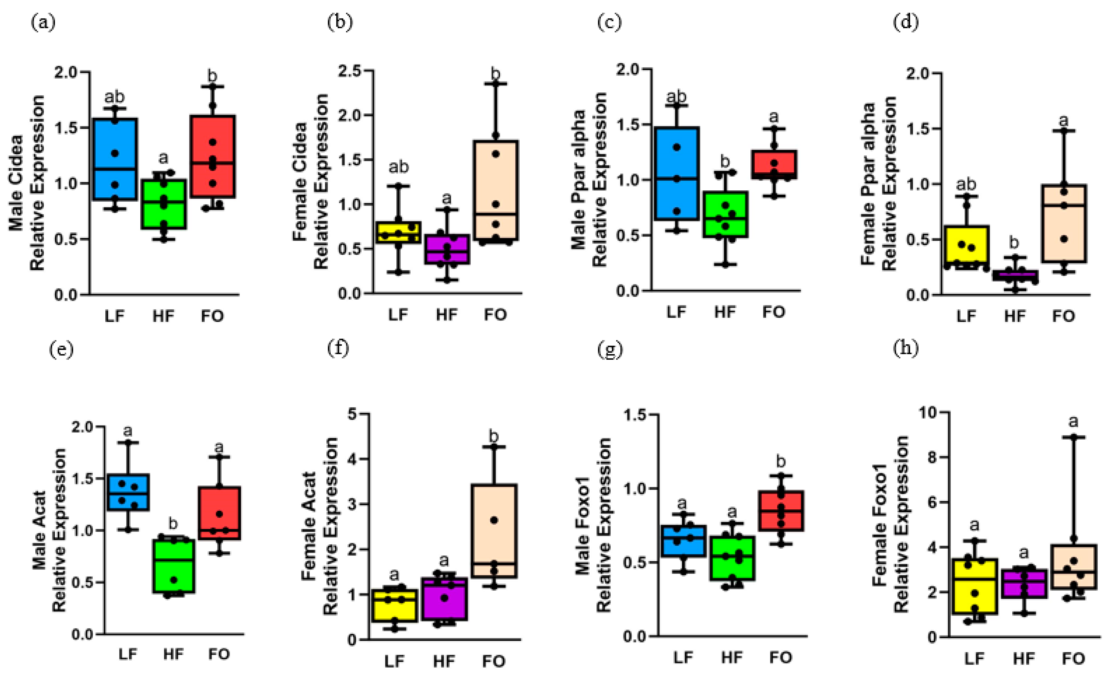 Biomedicines 11 03120 g004 Biomedicines 11 03120 g004