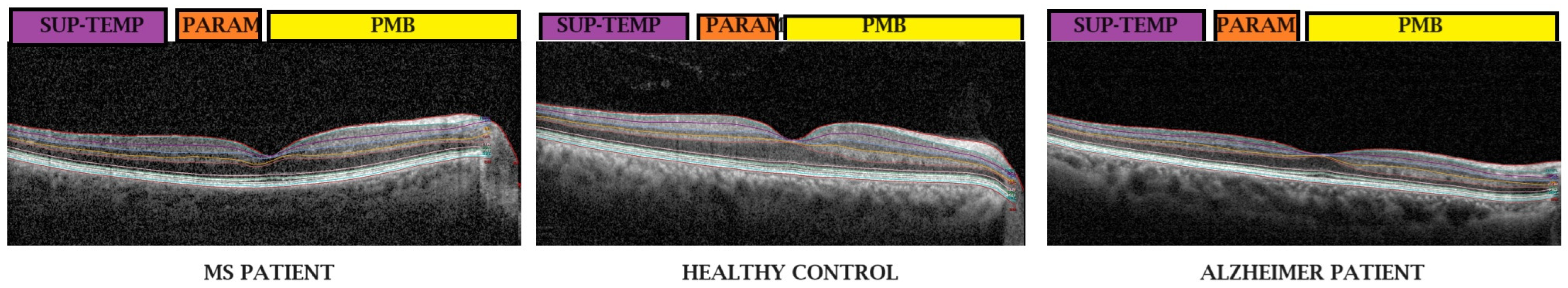 Biomedicines 11 03126 g003