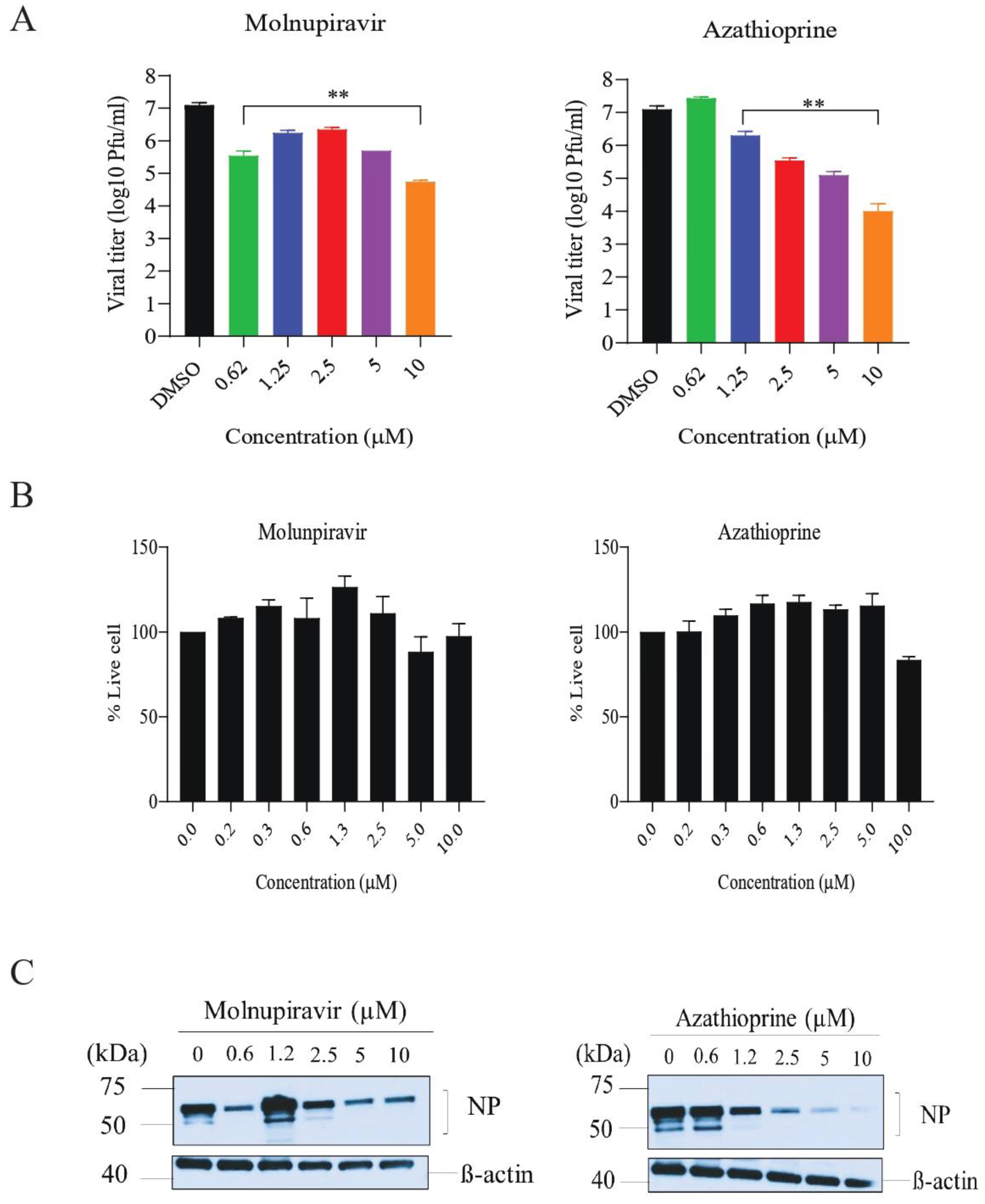 Biomedicines 11 03134 g004