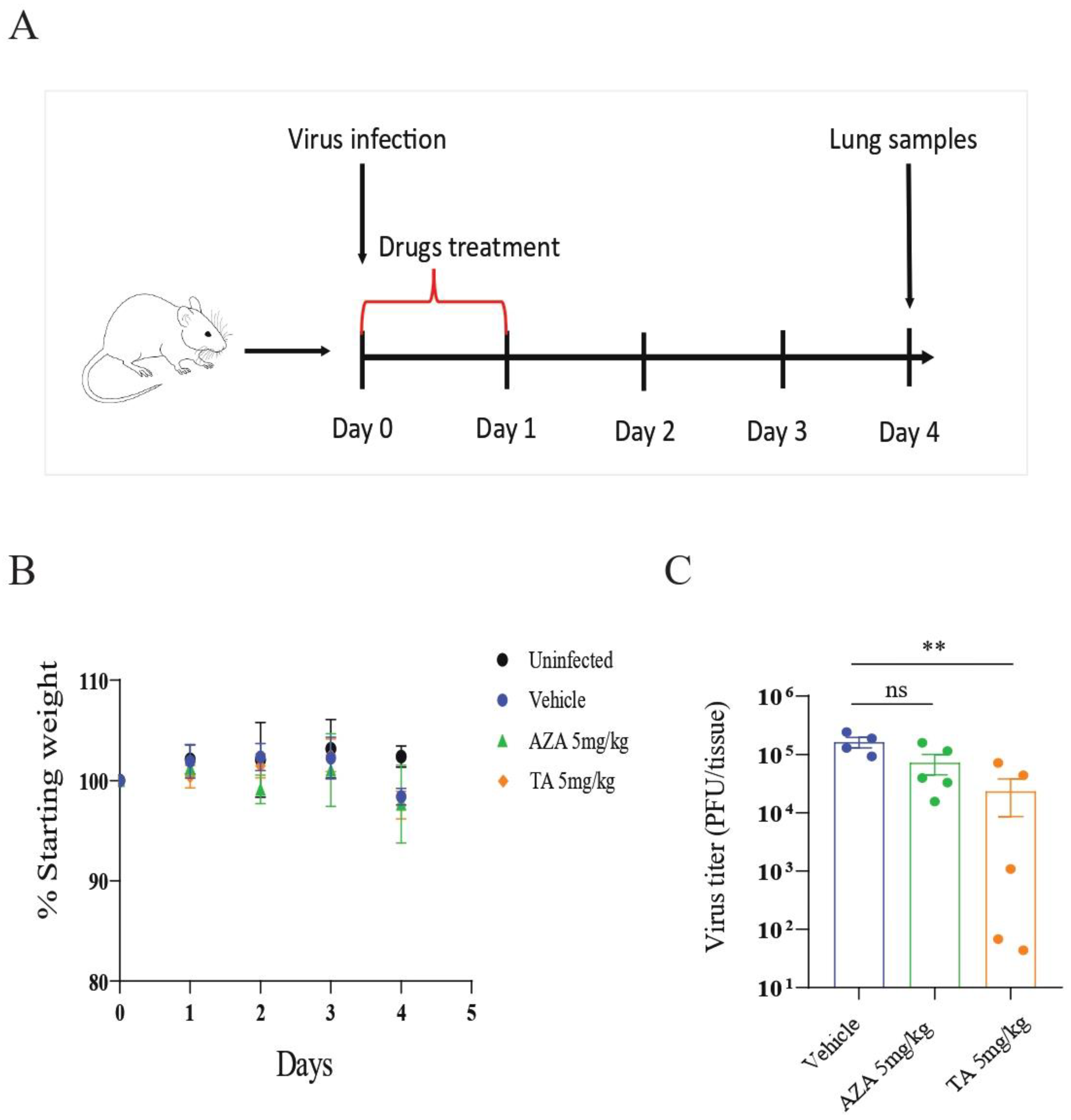 Biomedicines 11 03134 g005