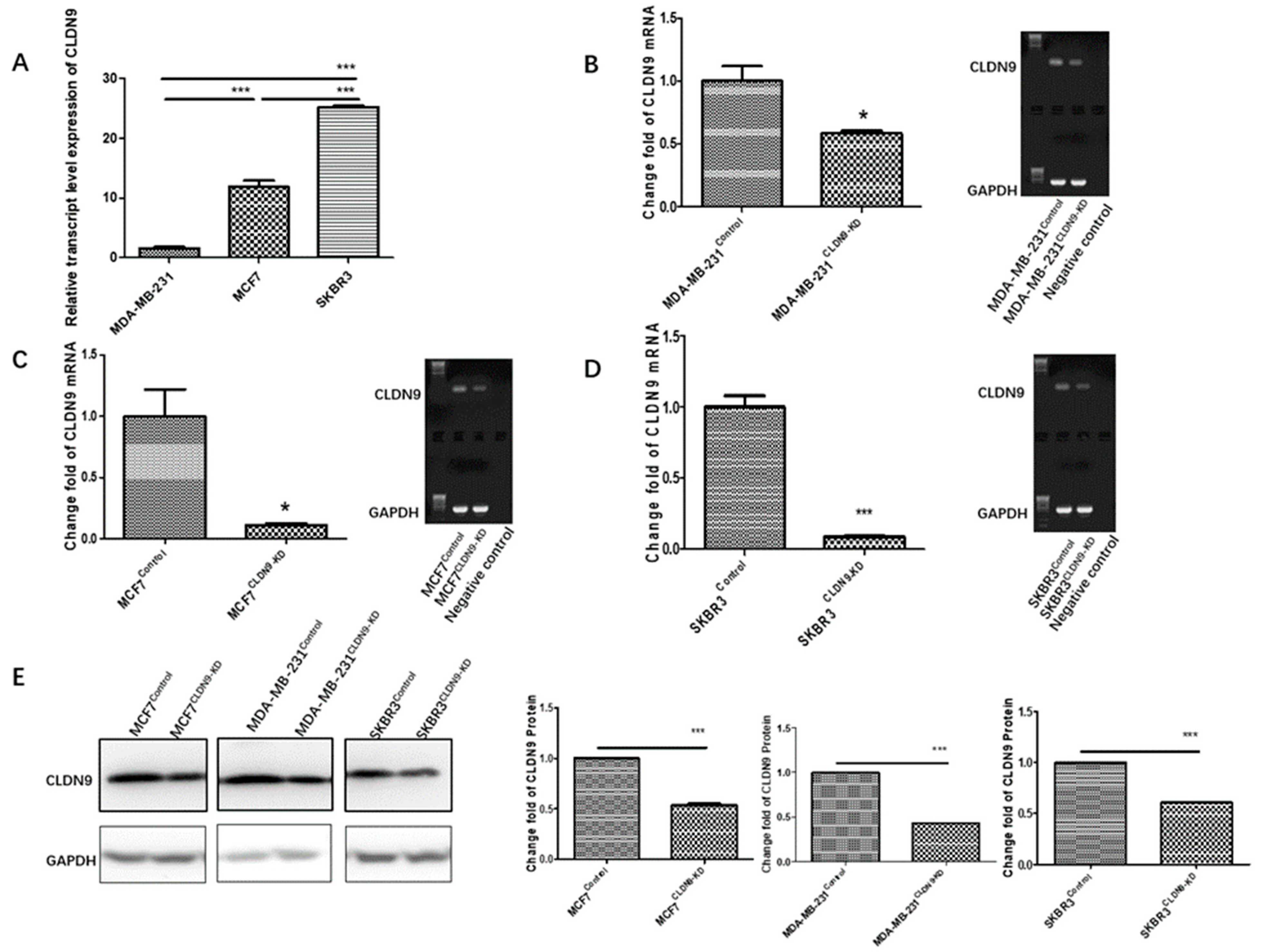 Biomedicines 11 03136 g006