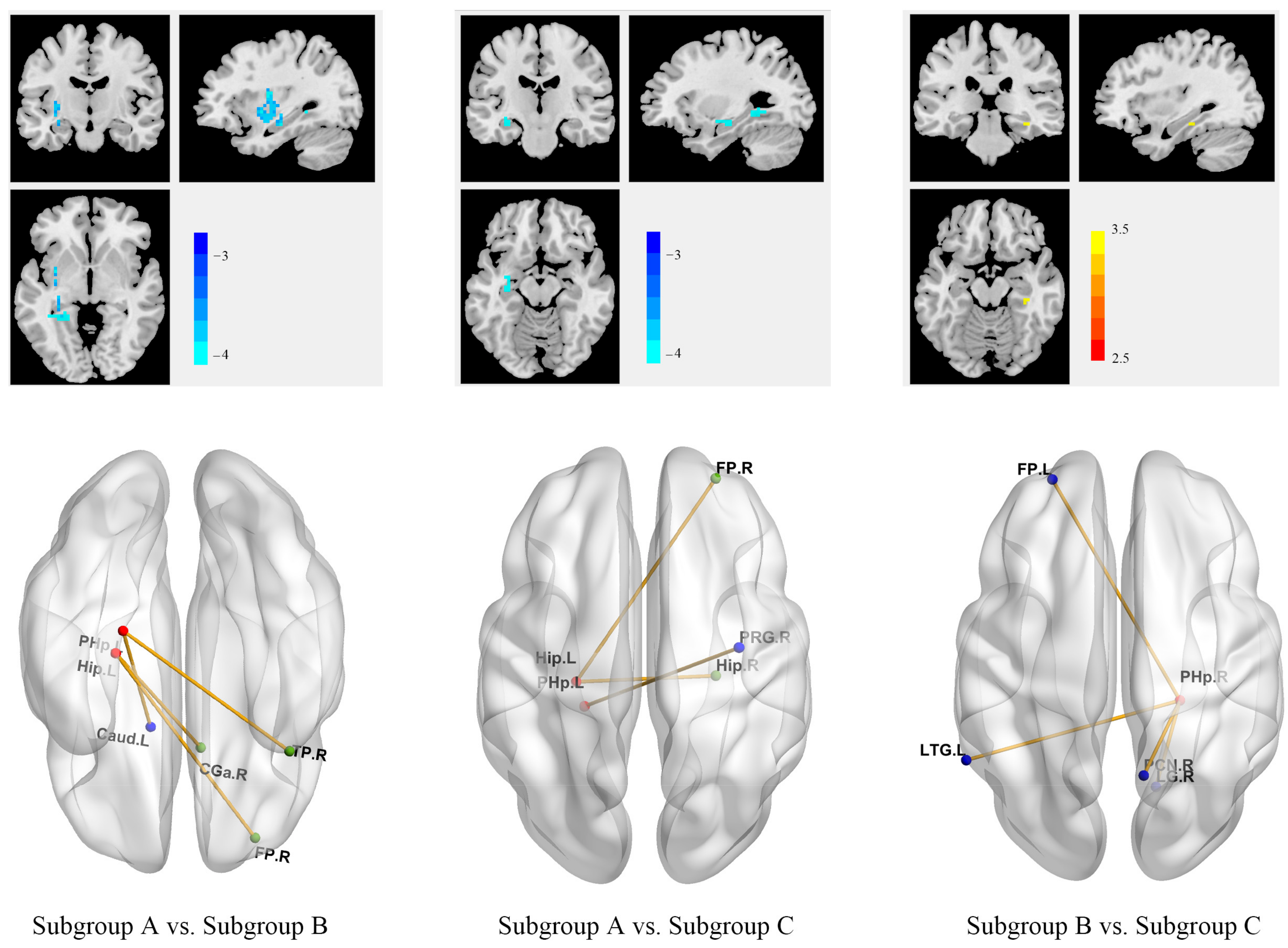Biomedicines 11 03138 g005 Biomedicines 11 03138 g005