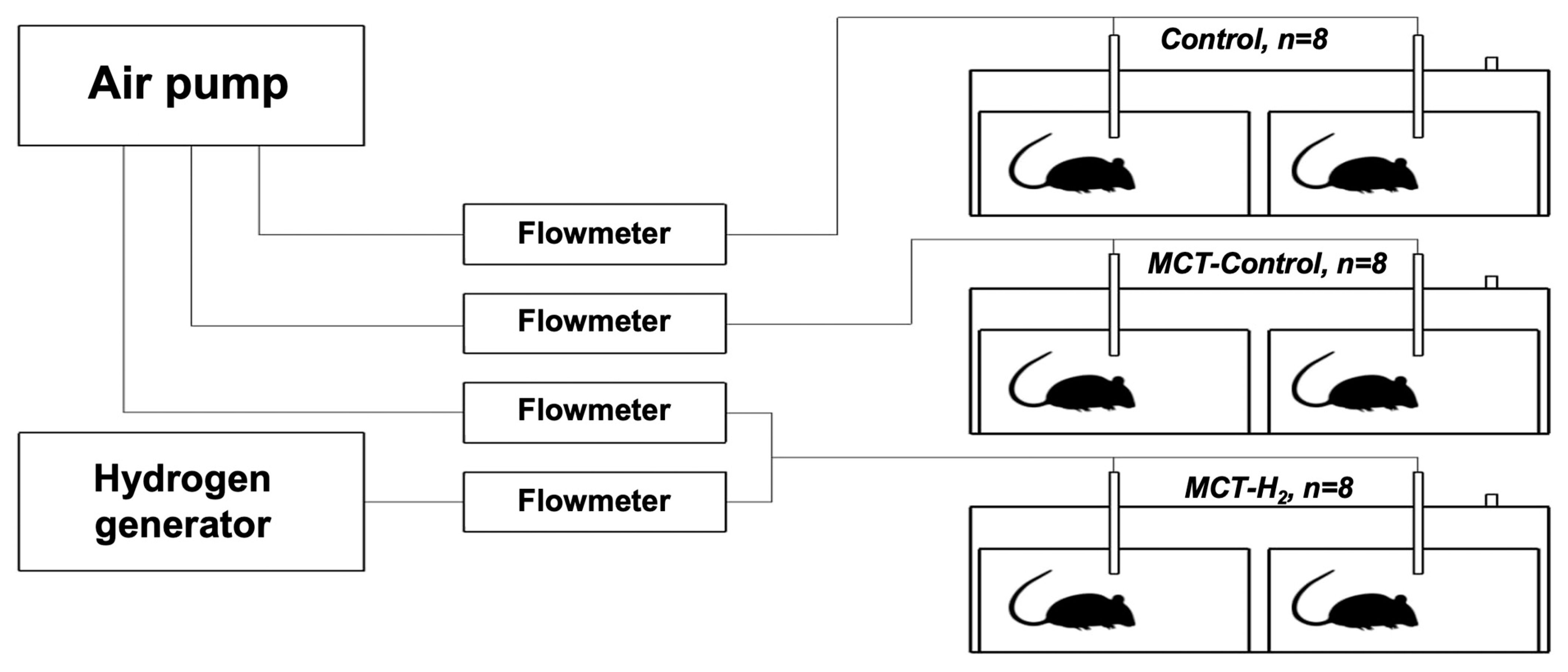 Biomedicines 11 03141 g001